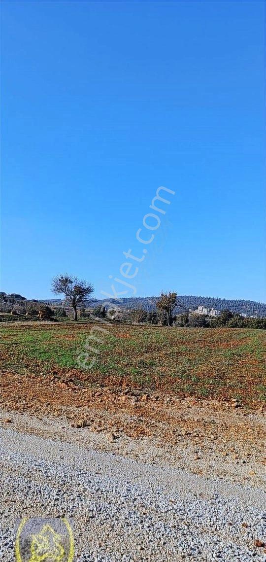 Göveçlikte Geleceğe Yatırımlık 600m2 Kaçırılmayacak Satılık Arsa - Görsel 4