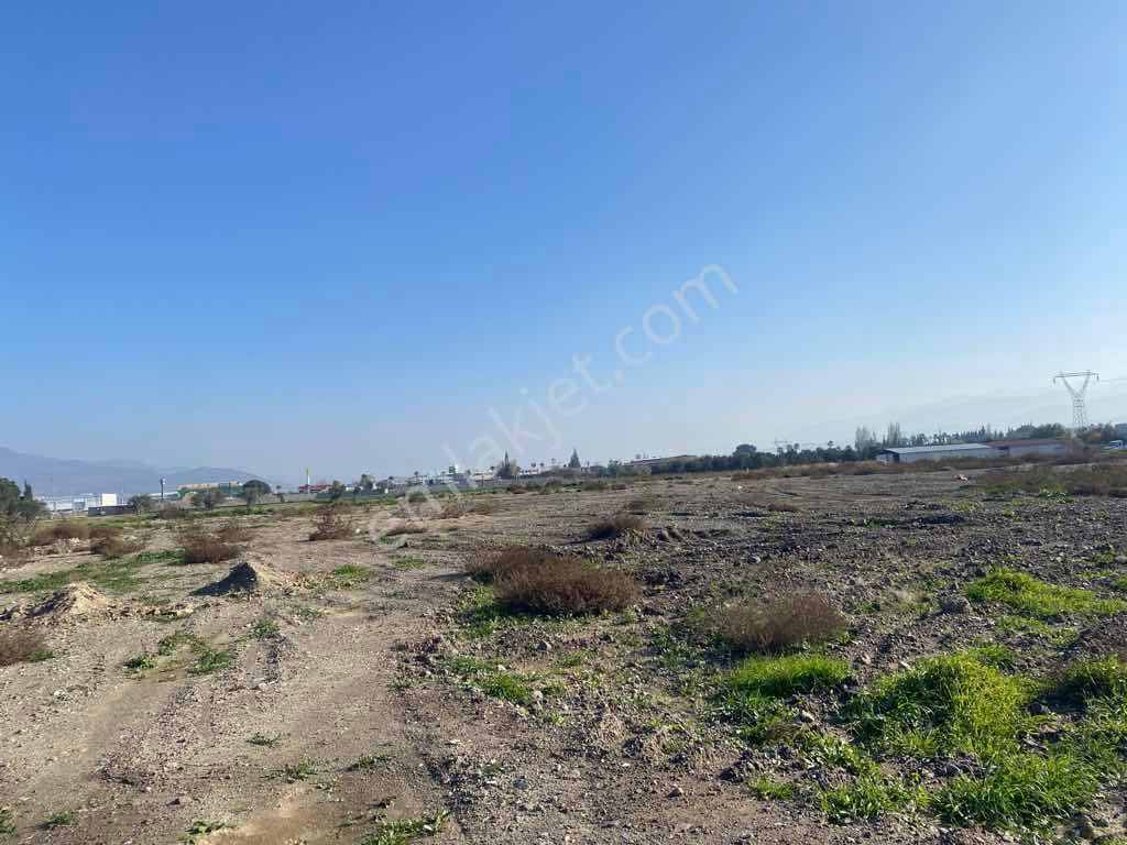 Elif Badak’tan Çanakkale Asfaltına 50 M Kiralık Depo Ve/ya Açık Alan - Görsel 9