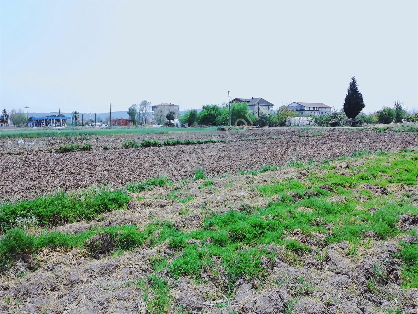 Sakarya Söğütlü Merkezinde 3.357 M2 Satılık Arsa - Görsel 20