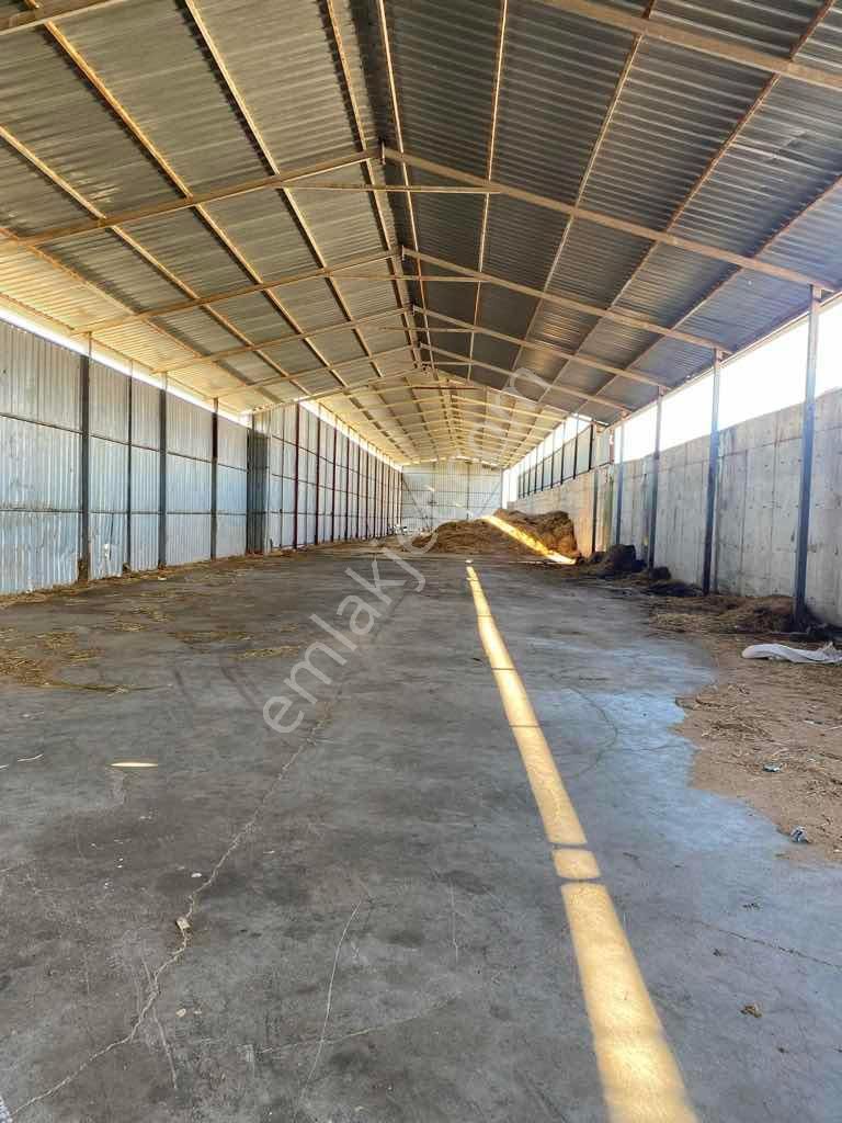 Elif Badak’tan 1000m2 Kiralık Ticari Depo/antrepo/üretim Tesisi - Görsel 17