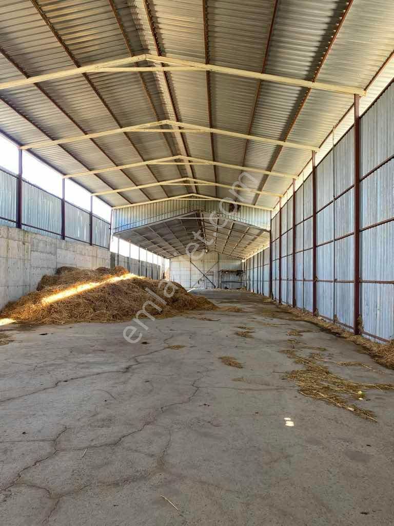 Elif Badak’tan 1000m2 Kiralık Ticari Depo/antrepo/üretim Tesisi - Görsel 18