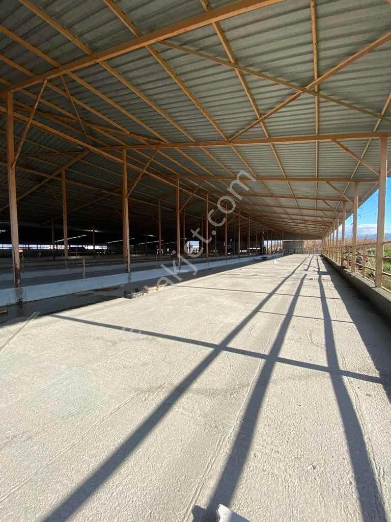 Elif Badak’tan 1000m2 Kiralık Ticari Depo/antrepo/üretim Tesisi - Görsel 9