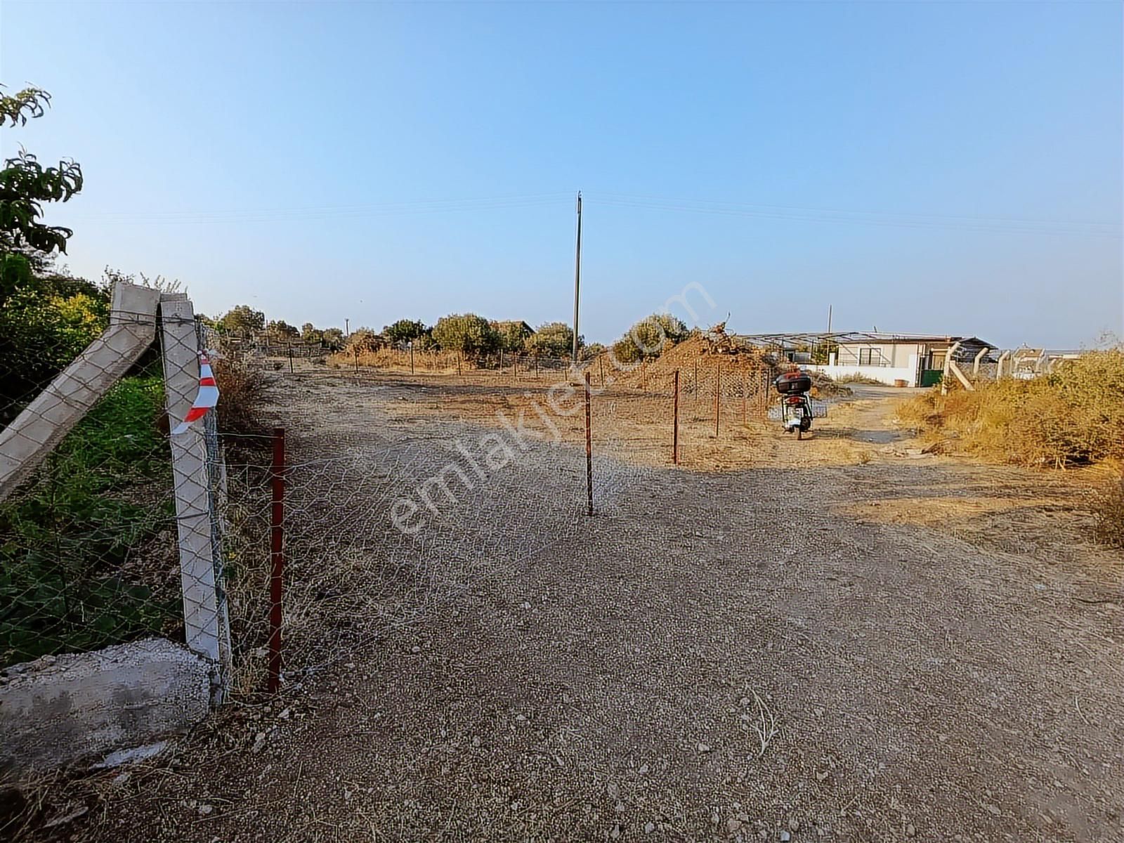 Doğayla İç İçe, Denize Komşu Arazi Urla Güvendik - Görsel 9