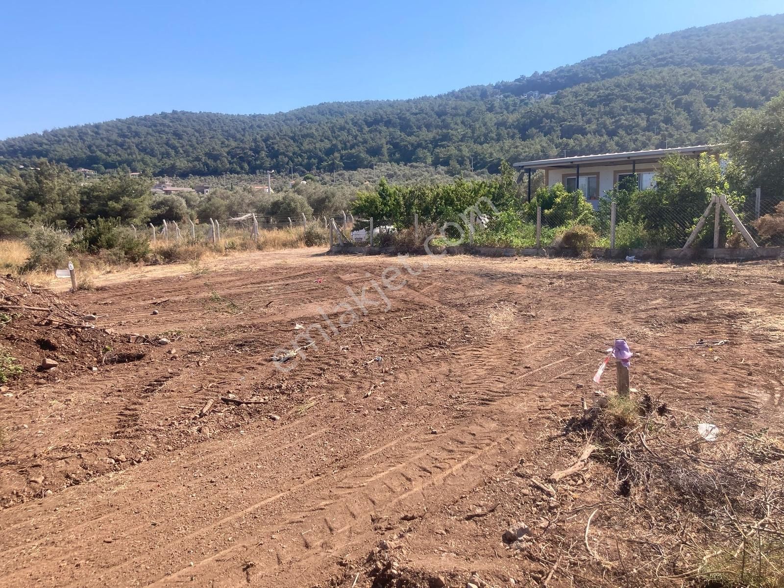 Doğayla İç İçe, Denize Komşu Tarla Urla Güvendik - Görsel 14