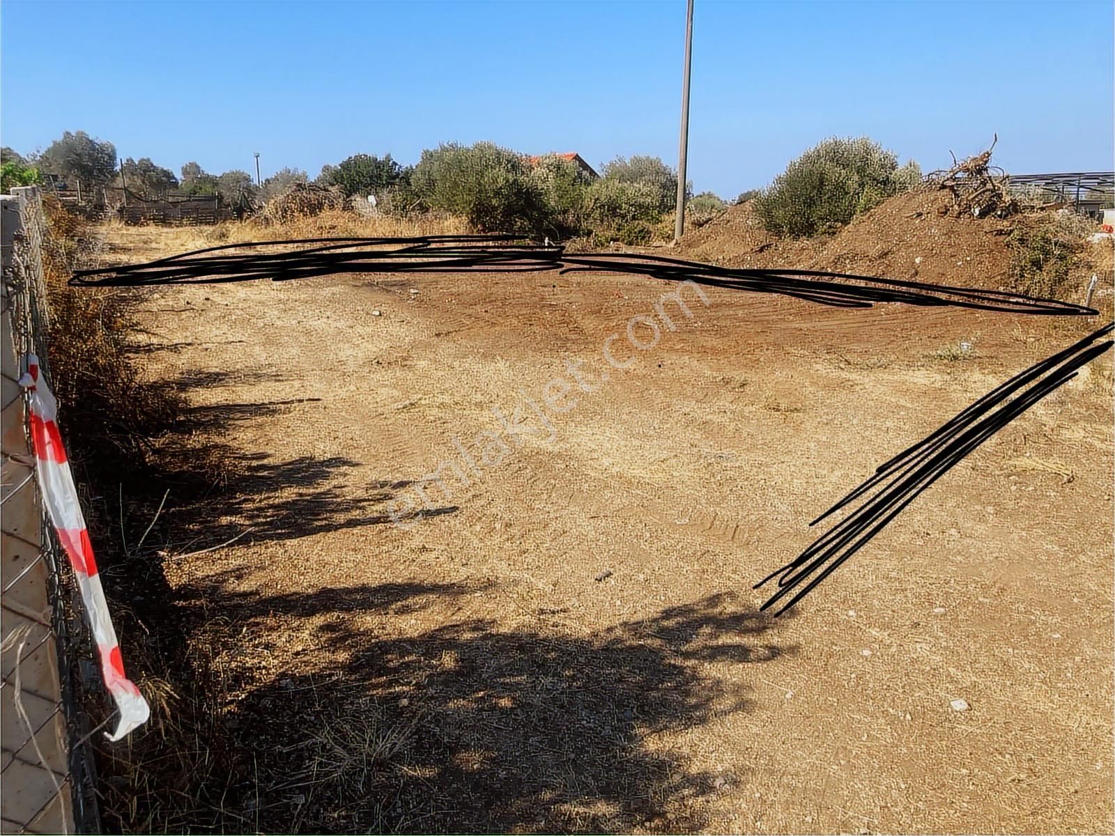 Doğayla İç İçe, Denize Komşu Tarla Urla Güvendik - Görsel 7