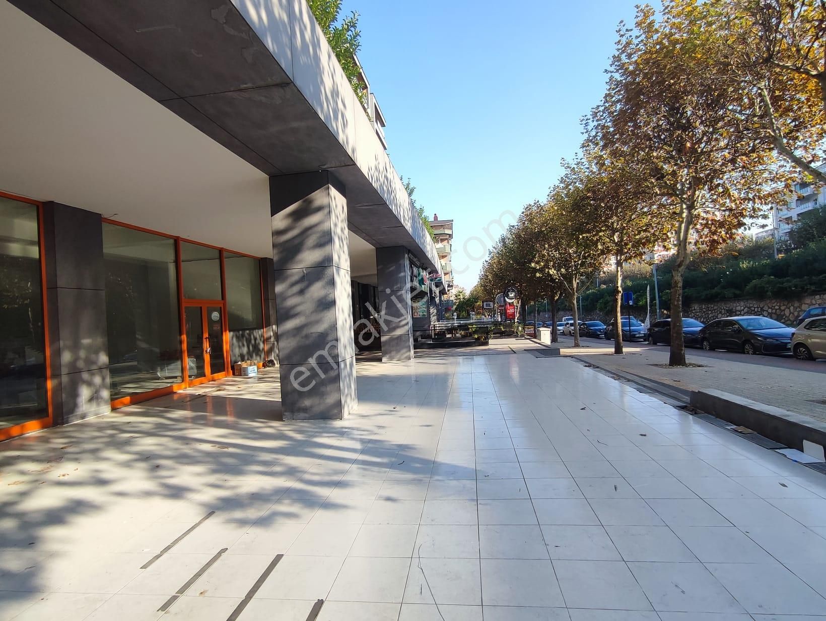 Nilüfer Fsm Bulvarında Cadde 224 De Kiracılı Satılık Dükkan - Görsel 21