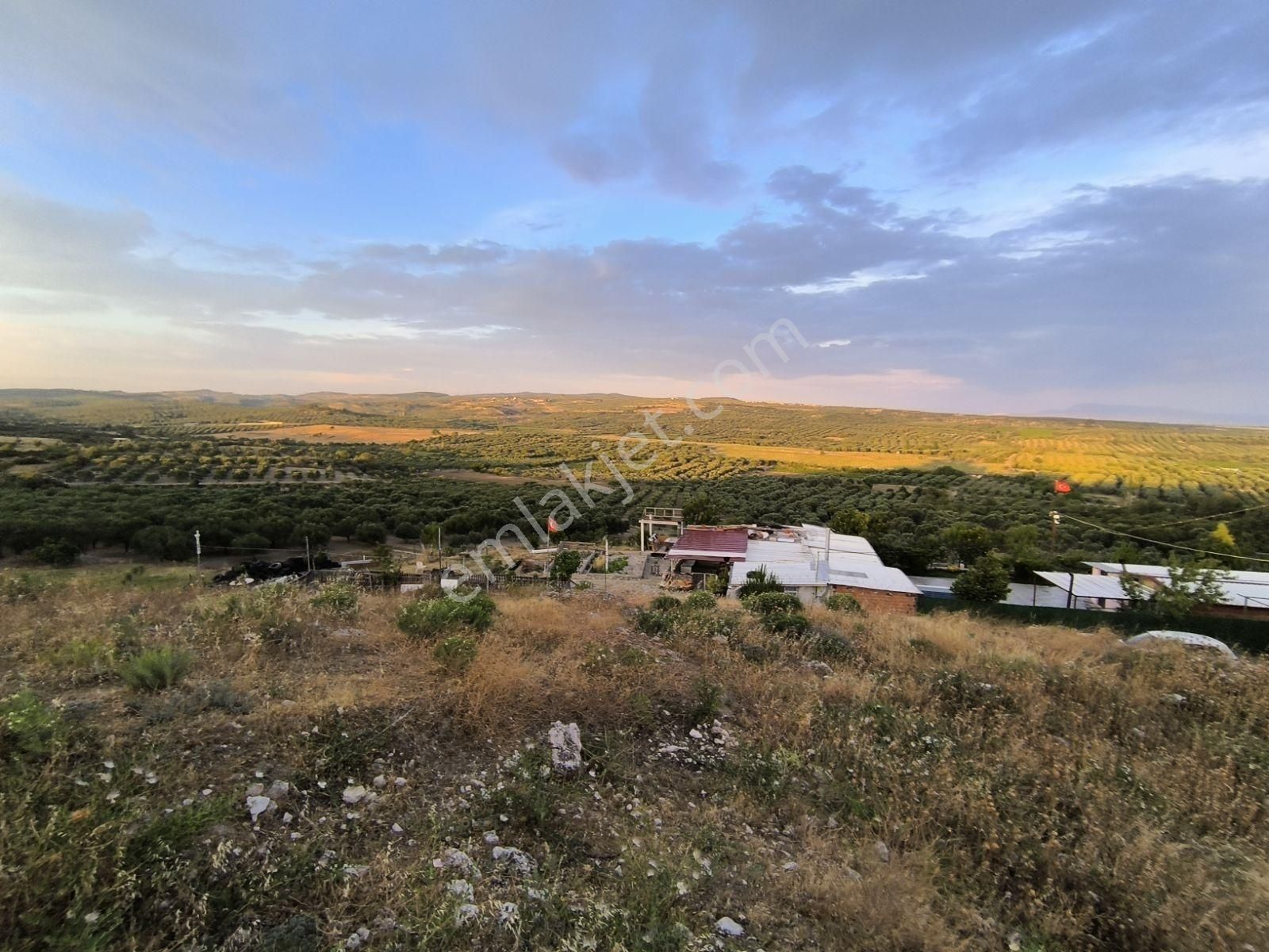 Manisa Saruhanlı Kepenekli 420m2 Villa İmarlı Manzaralı Arsa - Görsel 23