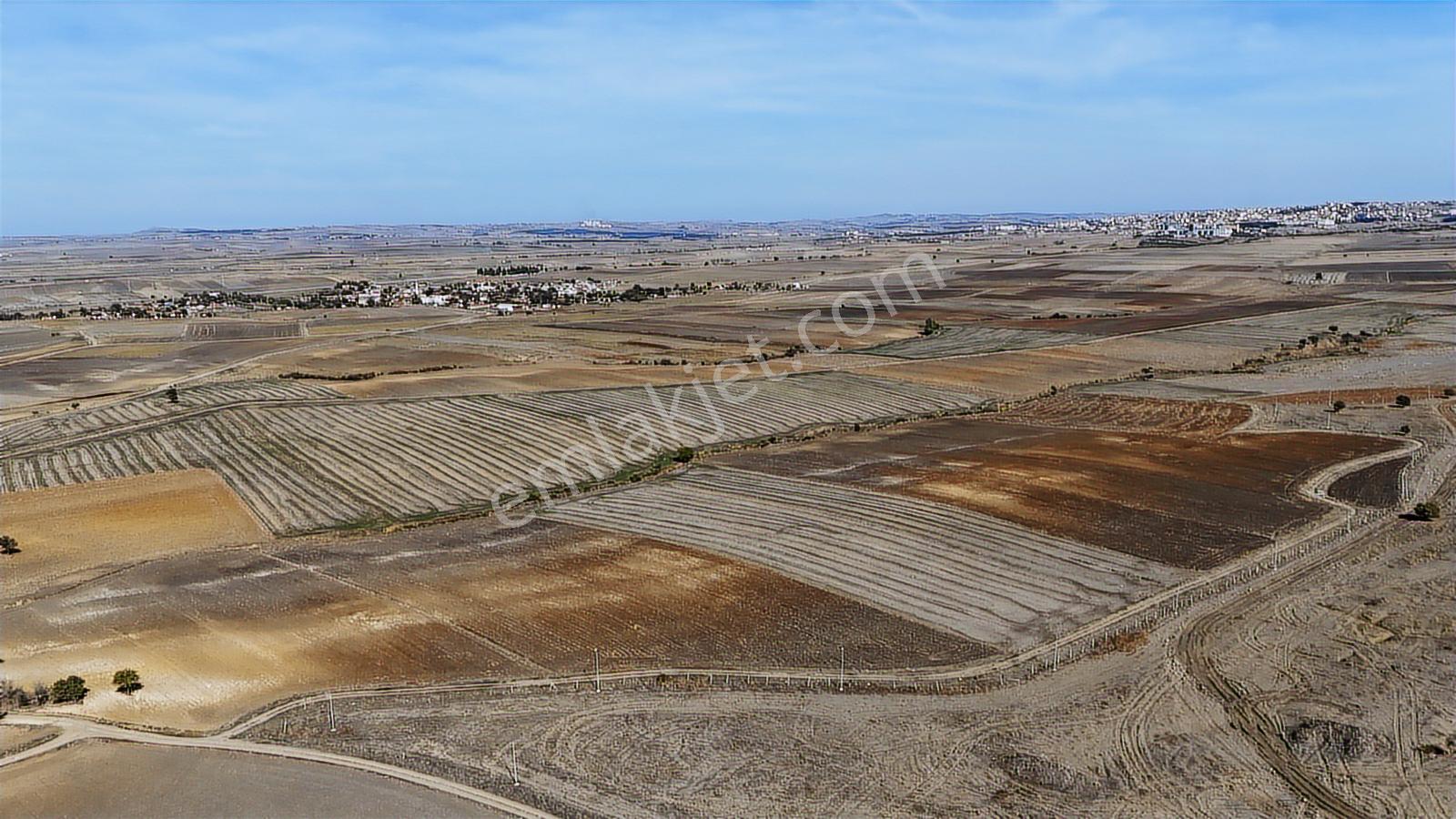 Ege Emlaktan Keşan Siğillide Köye Yakın 9500 M2 - Görsel 2