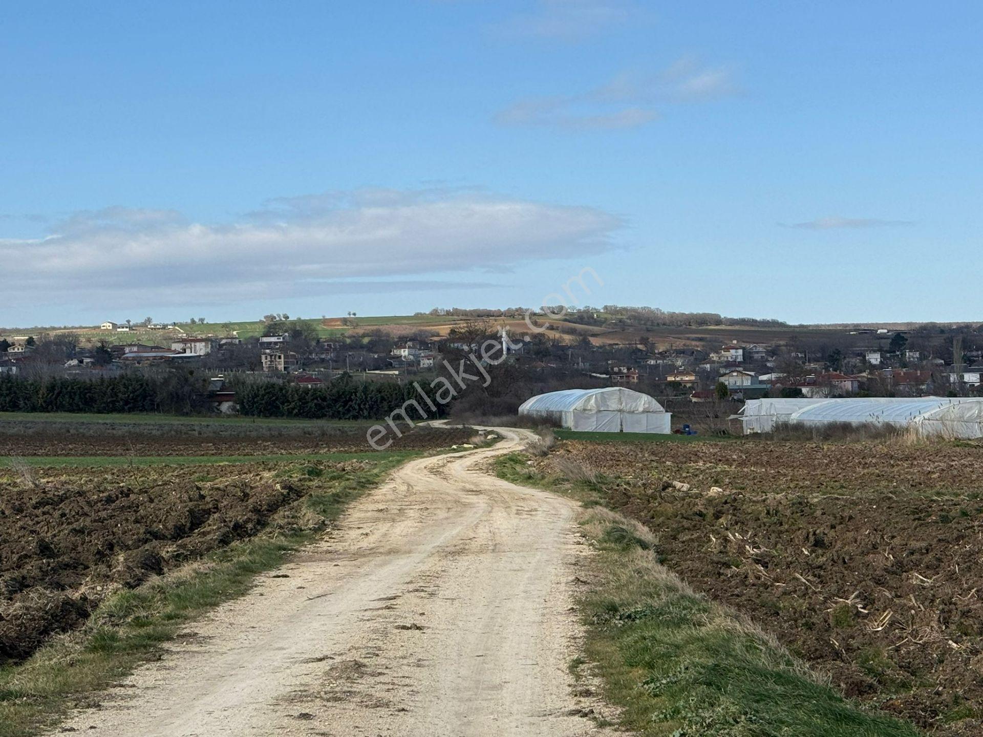 Vize'de Tek Tapu 1.632m² Bağ Evi Yapımına Uygun Fırsat Tarla.... - Görsel 22