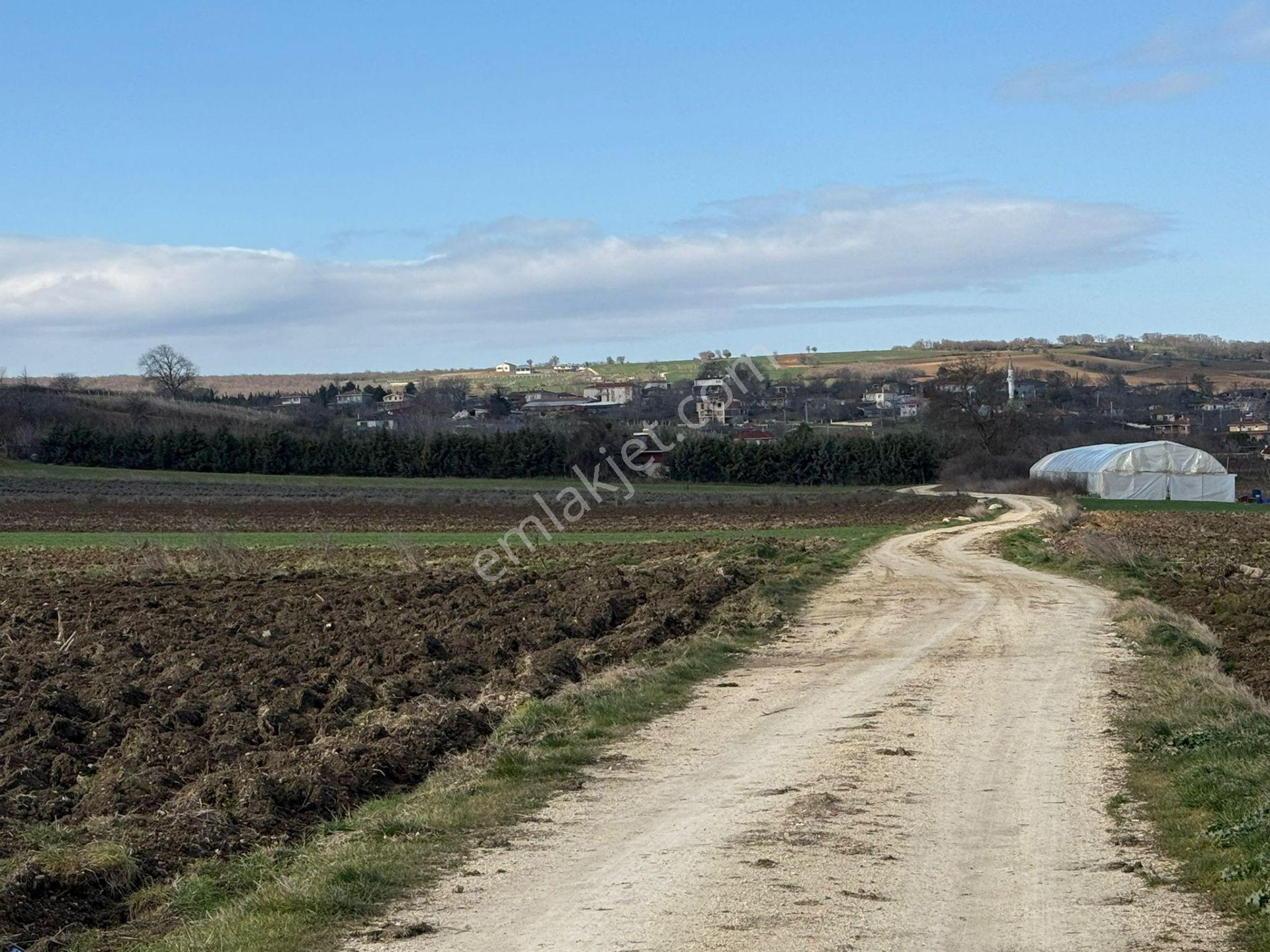 Vize'de Tek Tapu 1.632m² Bağ Evi Yapımına Uygun Fırsat Tarla.... - Görsel 16