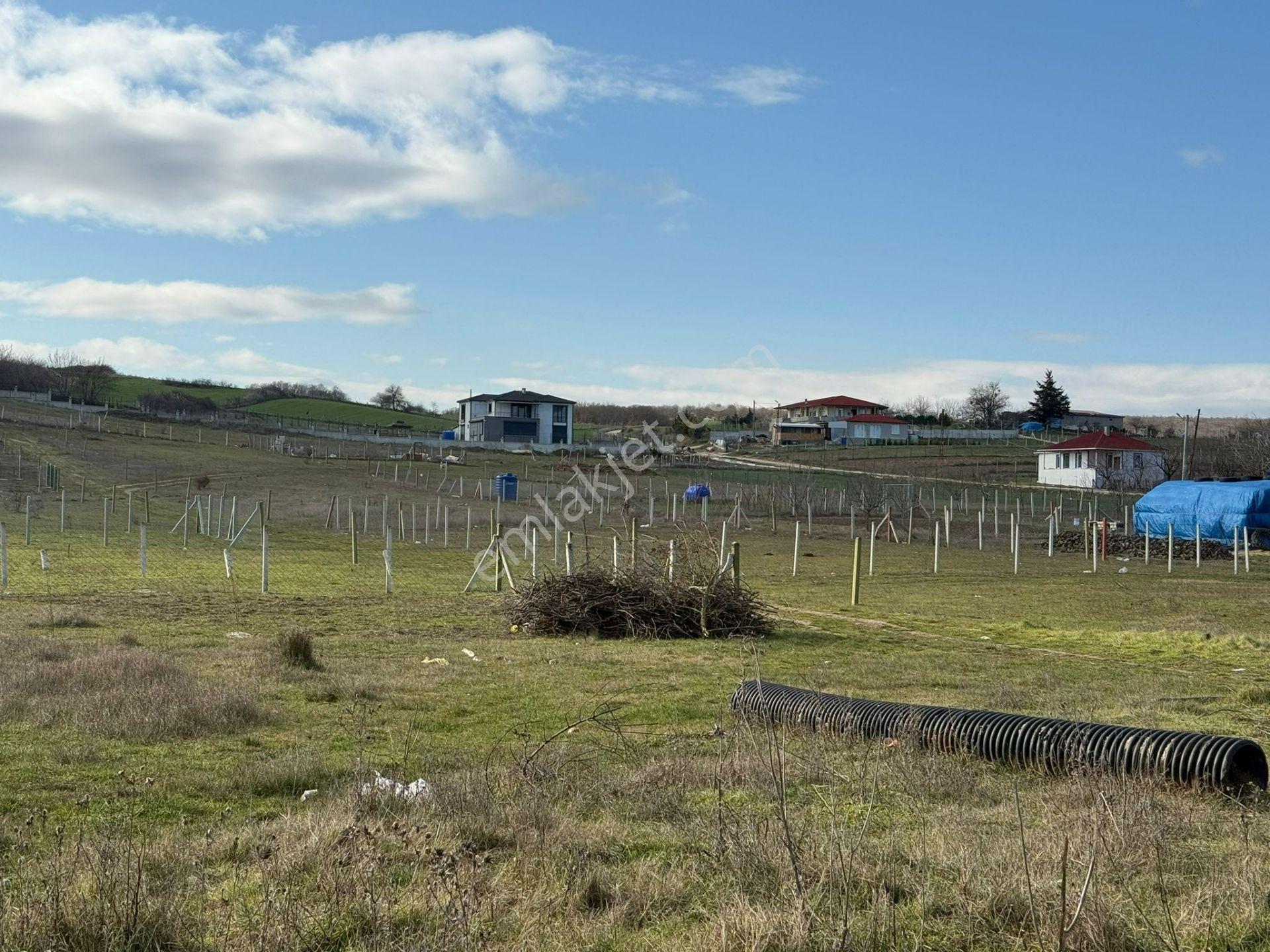 Vize'de Tek Tapu 1.632m² Bağ Evi Yapımına Uygun Fırsat Tarla.... - Görsel 6