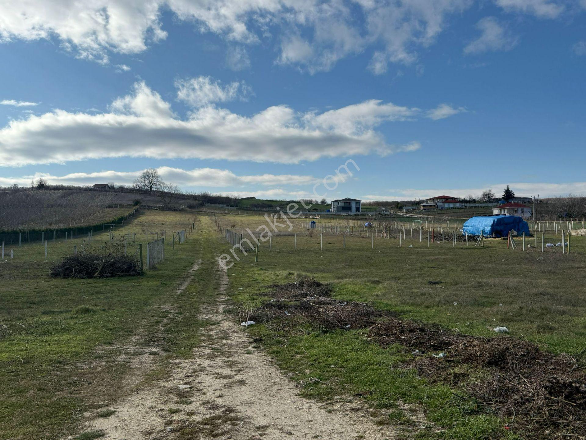 Vize'de Tek Tapu 1.632m² Bağ Evi Yapımına Uygun Fırsat Tarla.... - Görsel 9