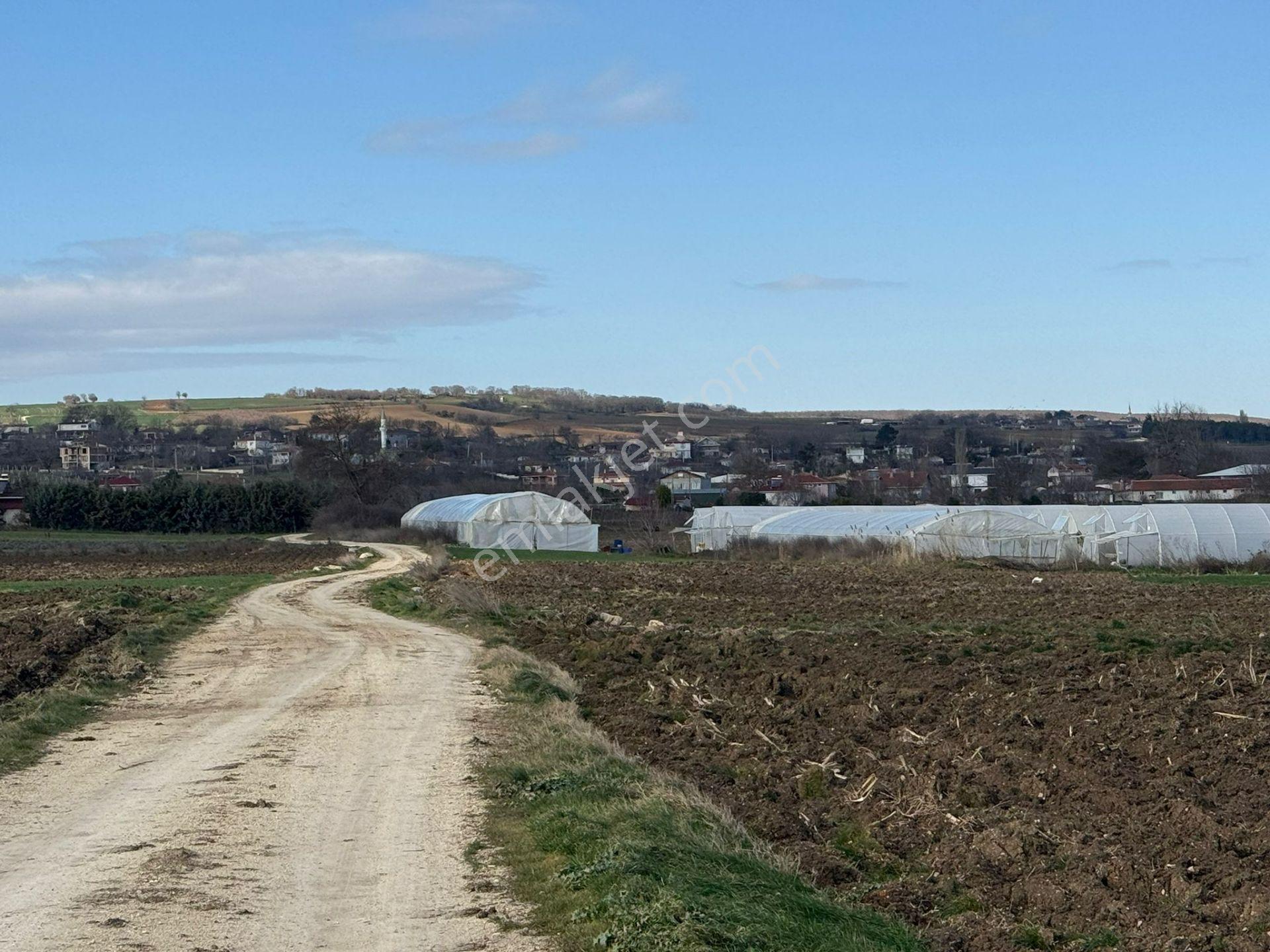 Vize'de Tek Tapu 1.632m² Bağ Evi Yapımına Uygun Fırsat Tarla.... - Görsel 23