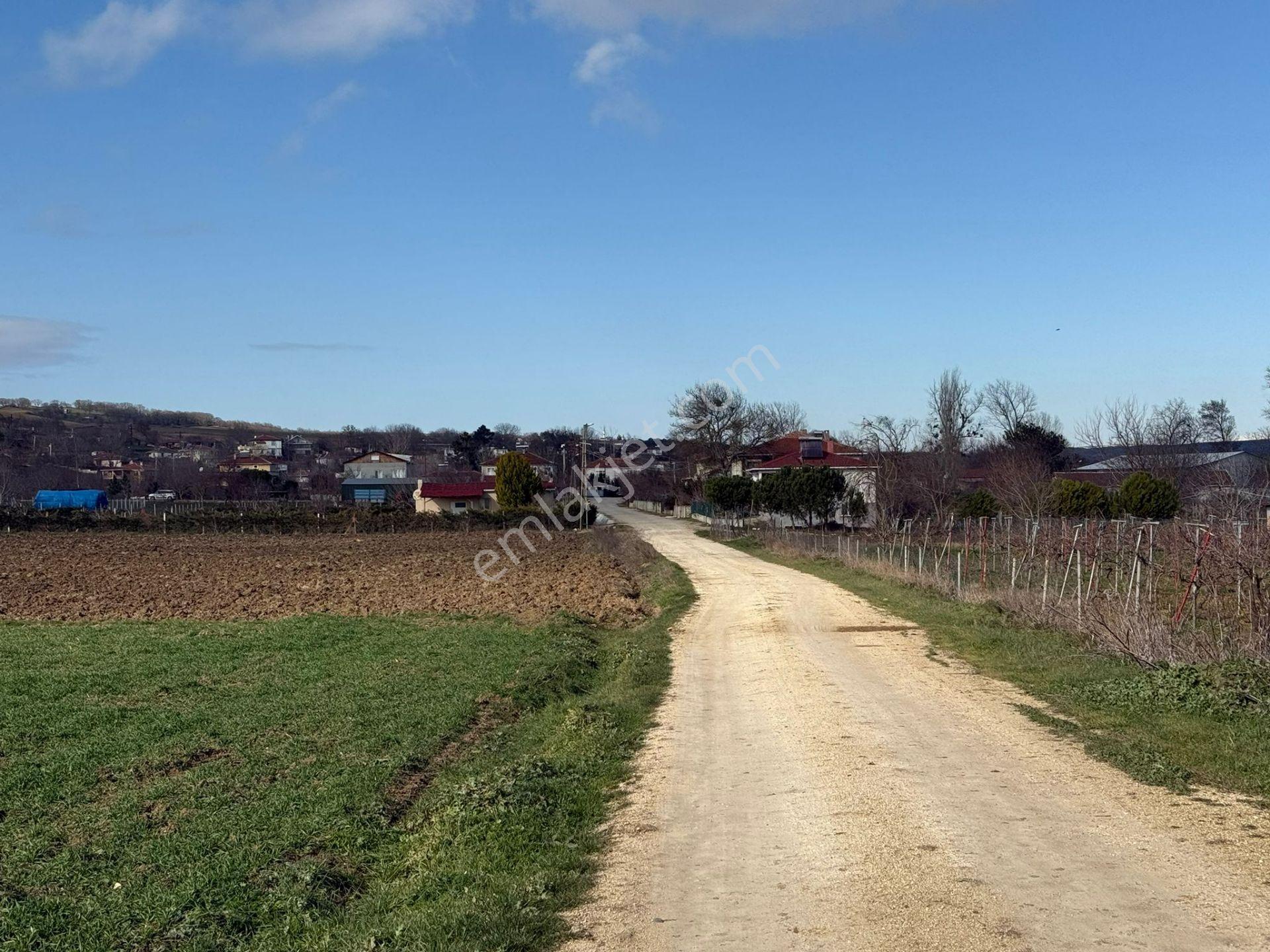 Vize'de Tek Tapu 1.632m² Bağ Evi Yapımına Uygun Fırsat Tarla.... - Görsel 5