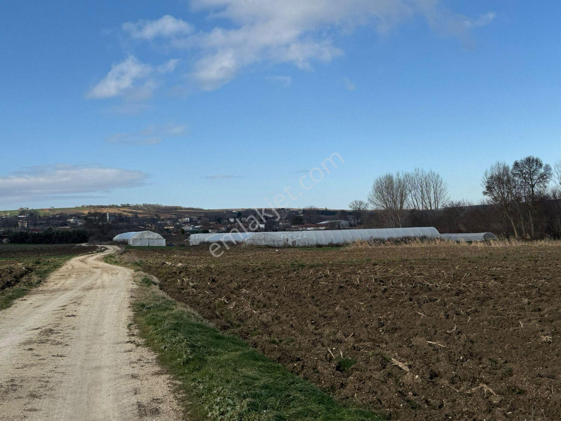 Vize'de Tek Tapu 1.632m² Bağ Evi Yapımına Uygun Fırsat Tarla.... - Görsel 18
