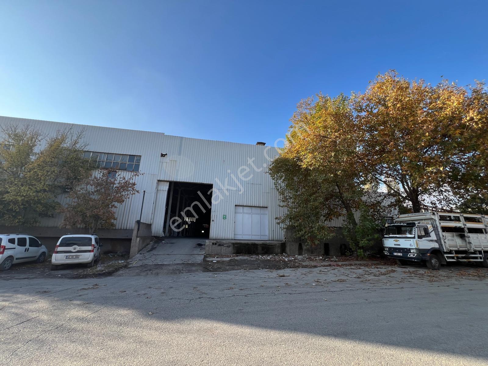 Odun Ambarlarında Kiralık 2500m² İş Yeri - Görsel 12