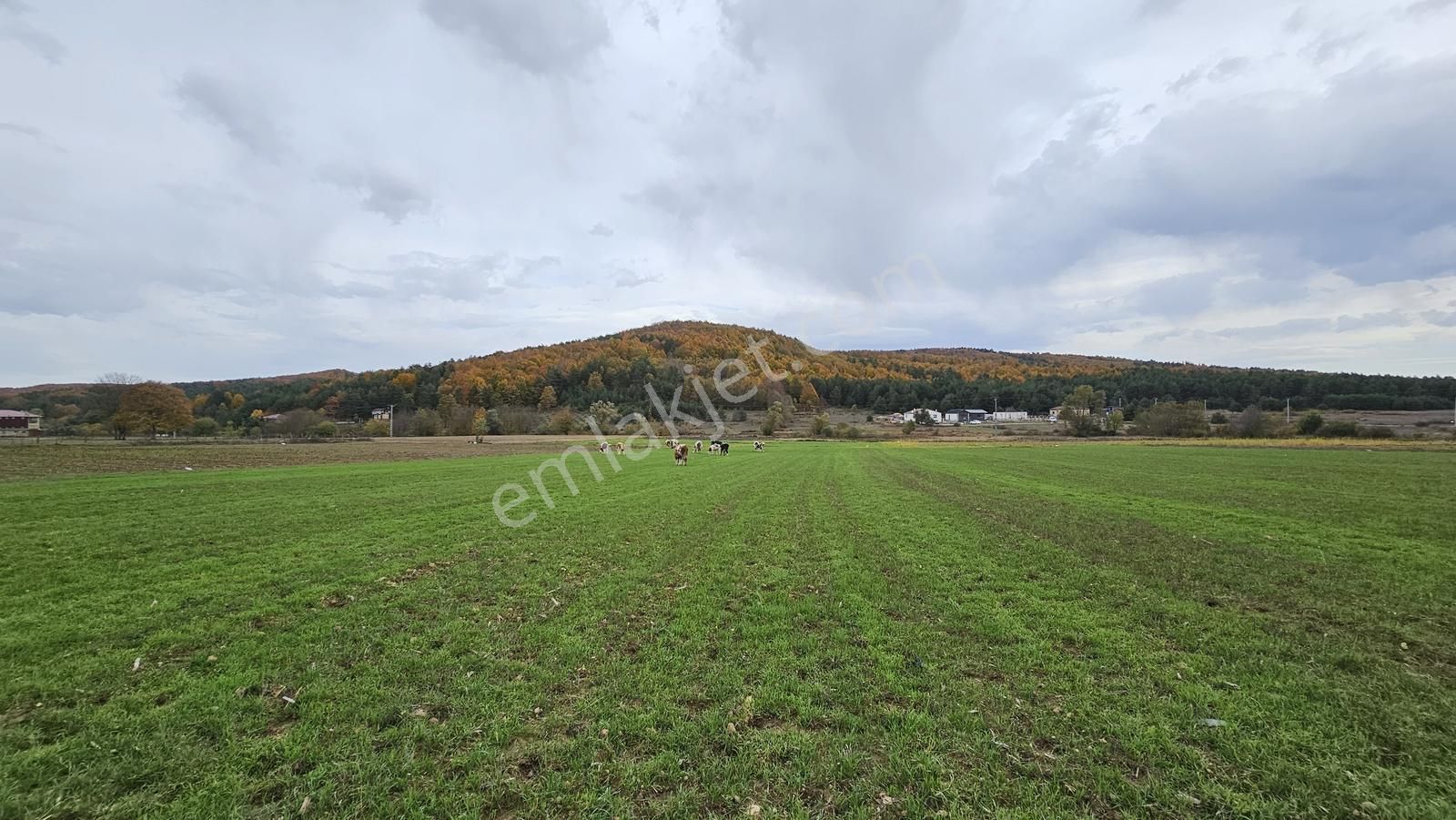 Acara'dan Satılık/iznik Hacıosman'da/5 Adet İmarlı Projelik Arsa - Görsel 13