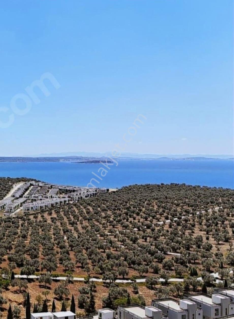 Durmuşoğlu Gayrimenkul'den Balıkesir/gömeç/kemalpaşa'da Satılık Villa Arsaları - Görsel 4