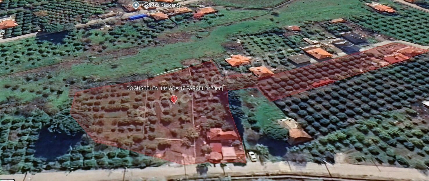 Rota'dan Döğüşbelen'de Satılık 1000m² Narenciye Bahçesi - Görsel 6