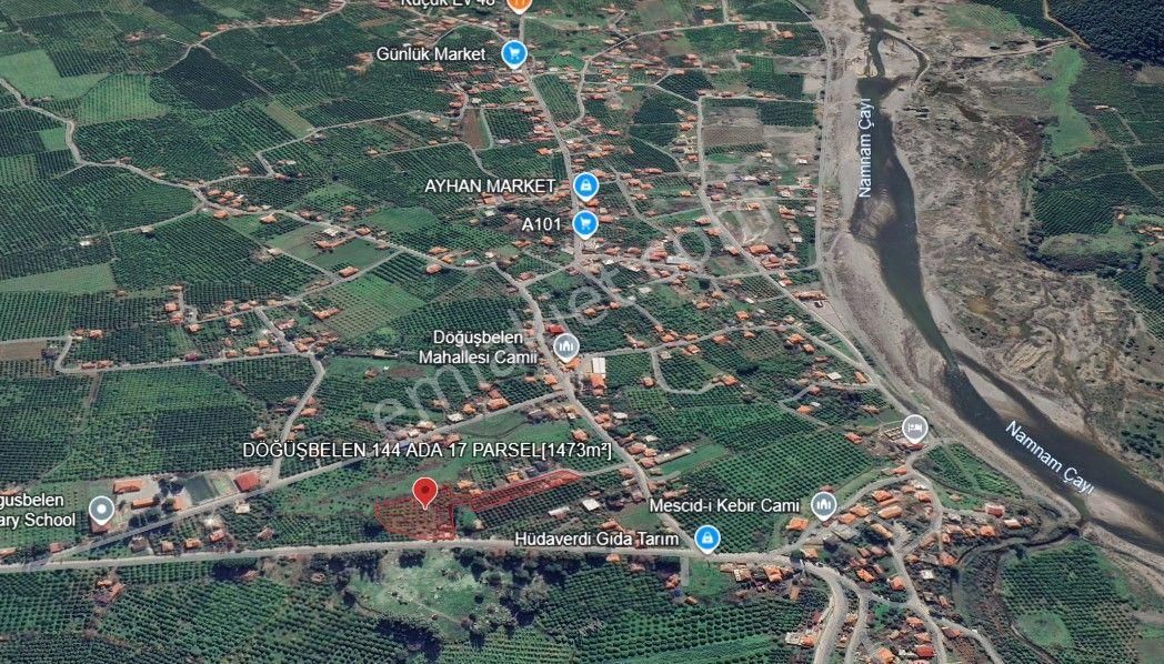 Rota'dan Döğüşbelen'de Satılık 1000m² Narenciye Bahçesi - Görsel 5