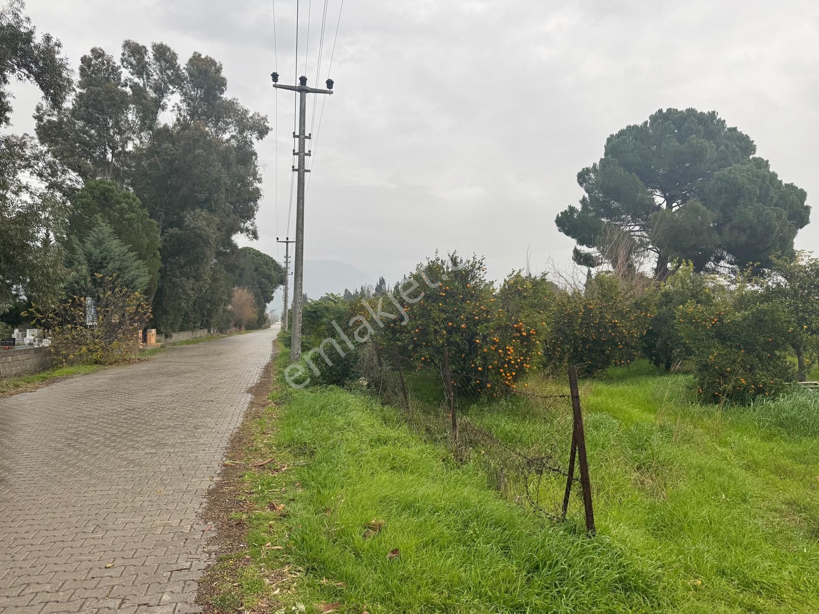 Rota'dan Döğüşbelen'de Satılık 1000m² Narenciye Bahçesi - Görsel 9