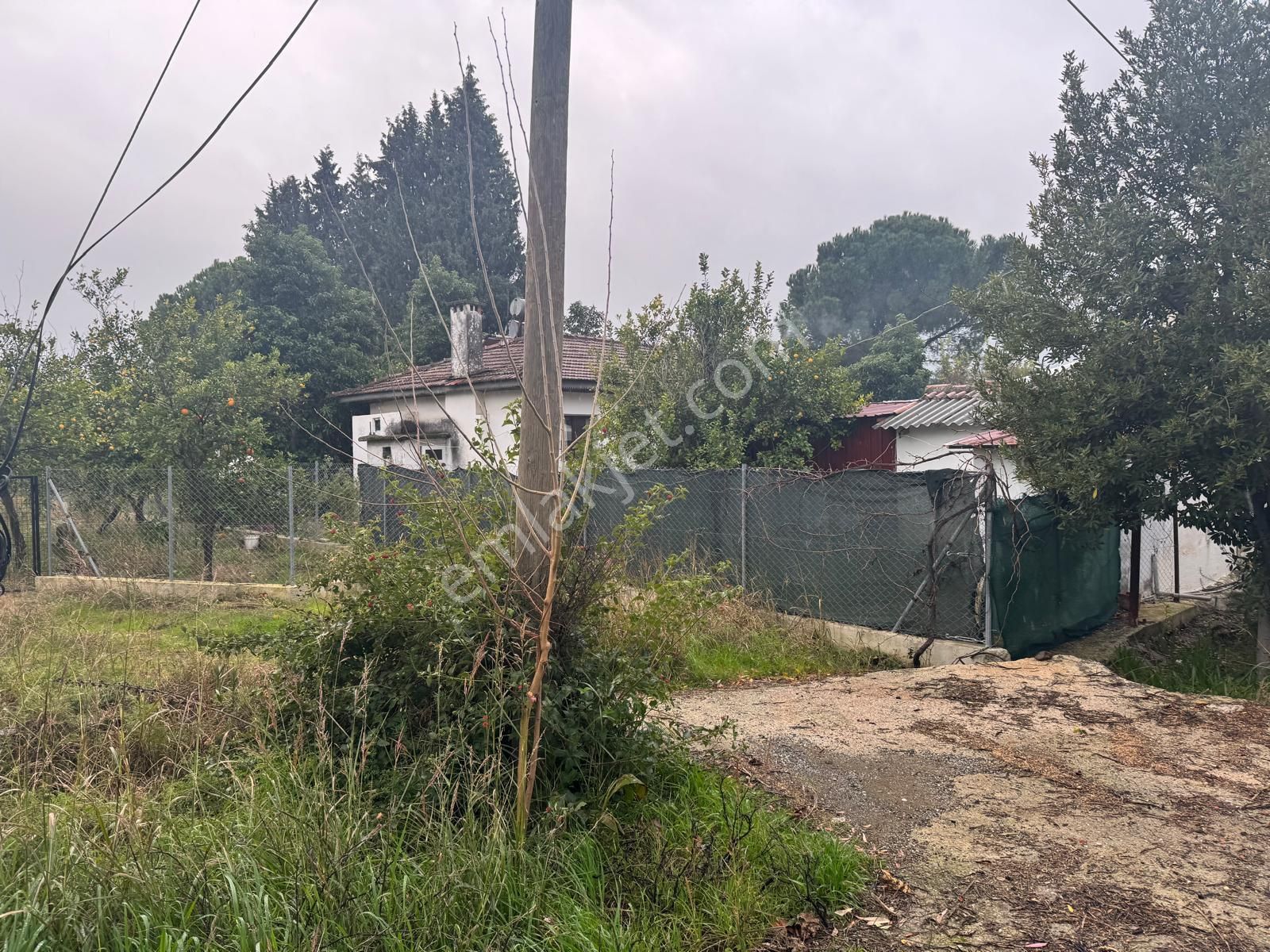 Rota'dan Döğüşbelen'de Satılık 1000m² Narenciye Bahçesi - Görsel 7