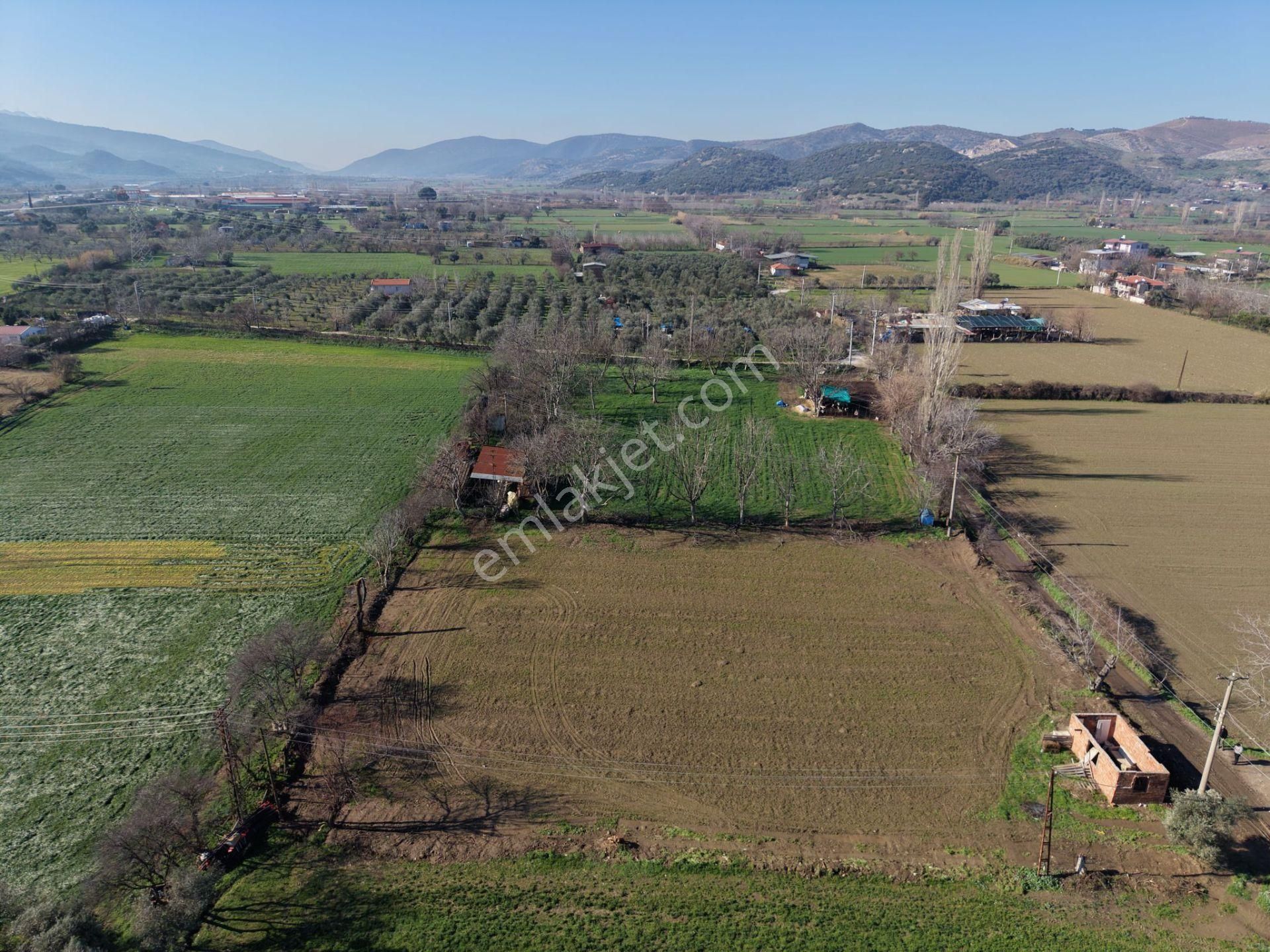 Kaçmazer'den Tire Merkeze 2 Km Satılık 3.306 M² Arazi - Görsel 3