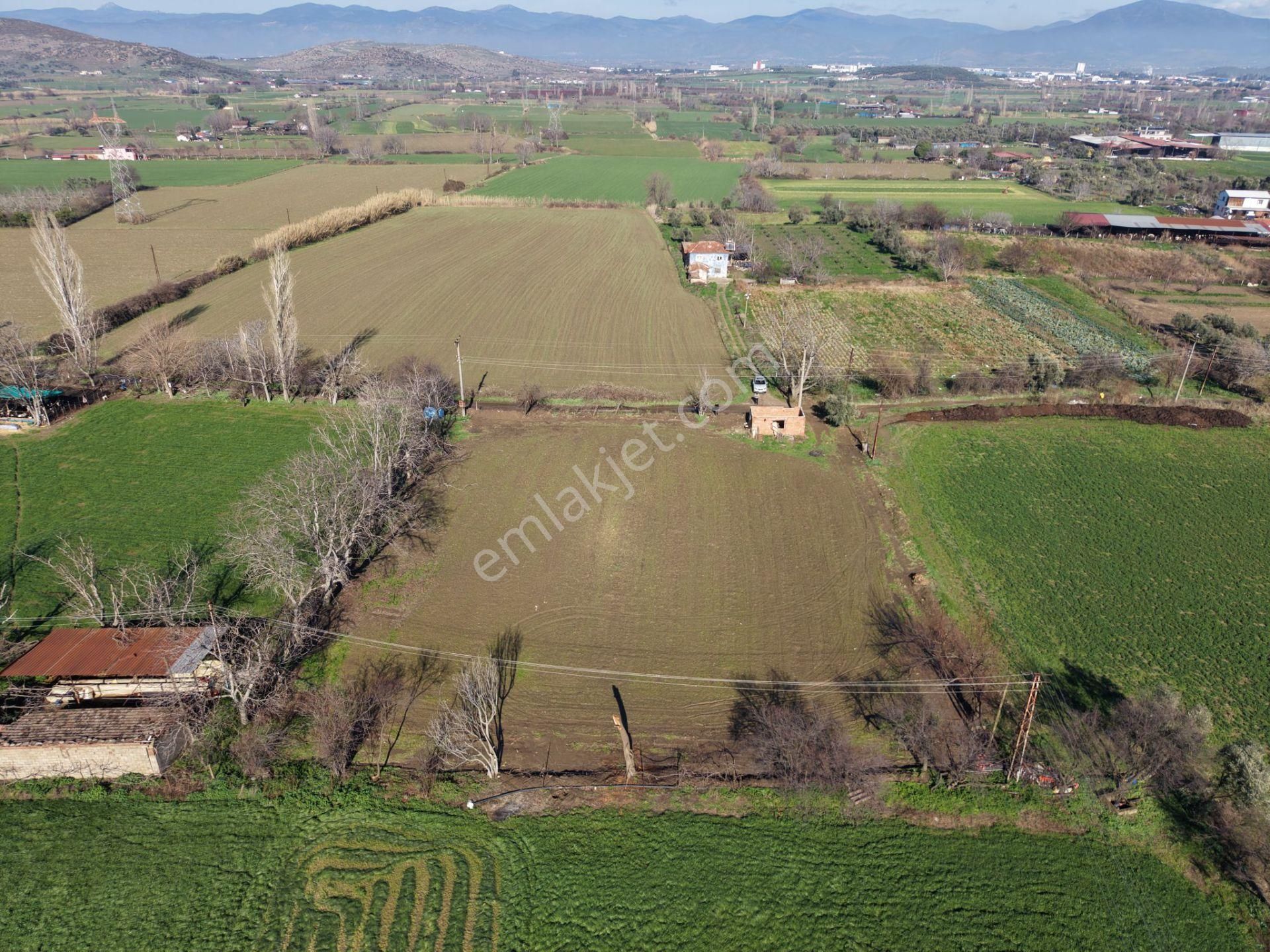 Kaçmazer'den Tire Merkeze 2 Km Satılık 3.306 M² Arazi - Görsel 4