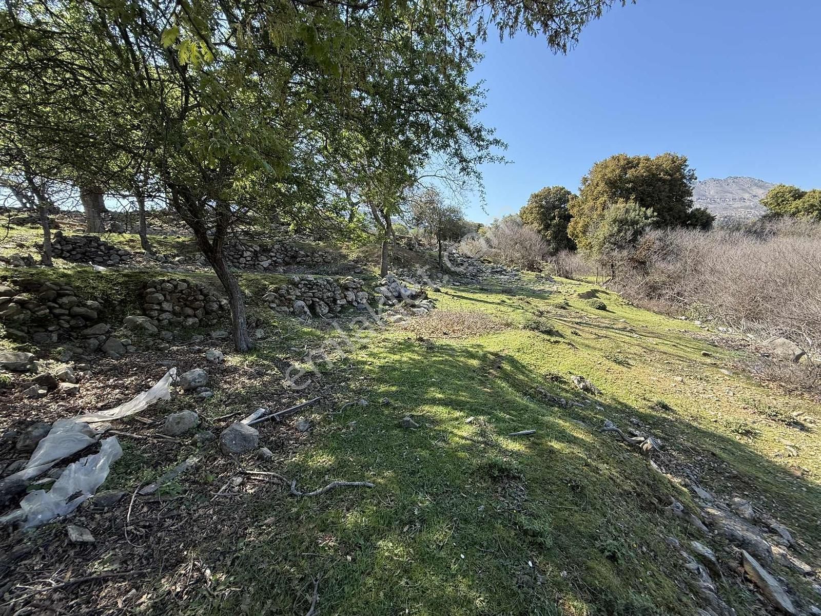 İmroz Emlak'tan Ticari İşletmeye Uygun Asfalta Sıfır - Görsel 3