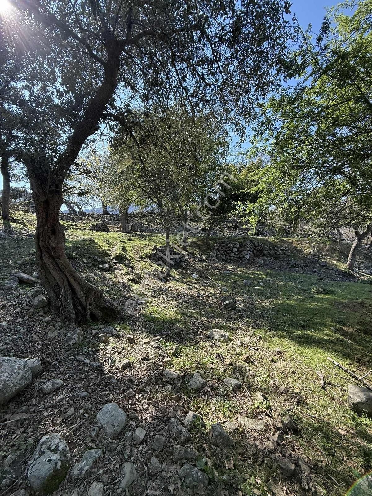 İmroz Emlak'tan Ticari İşletmeye Uygun Asfalta Sıfır - Görsel 24