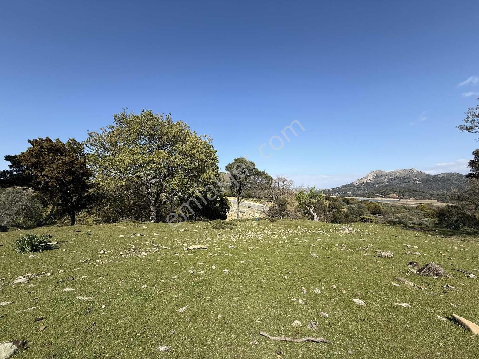 İmroz Emlak'tan Ticari İşletmeye Uygun Asfalta Sıfır - Görsel 14