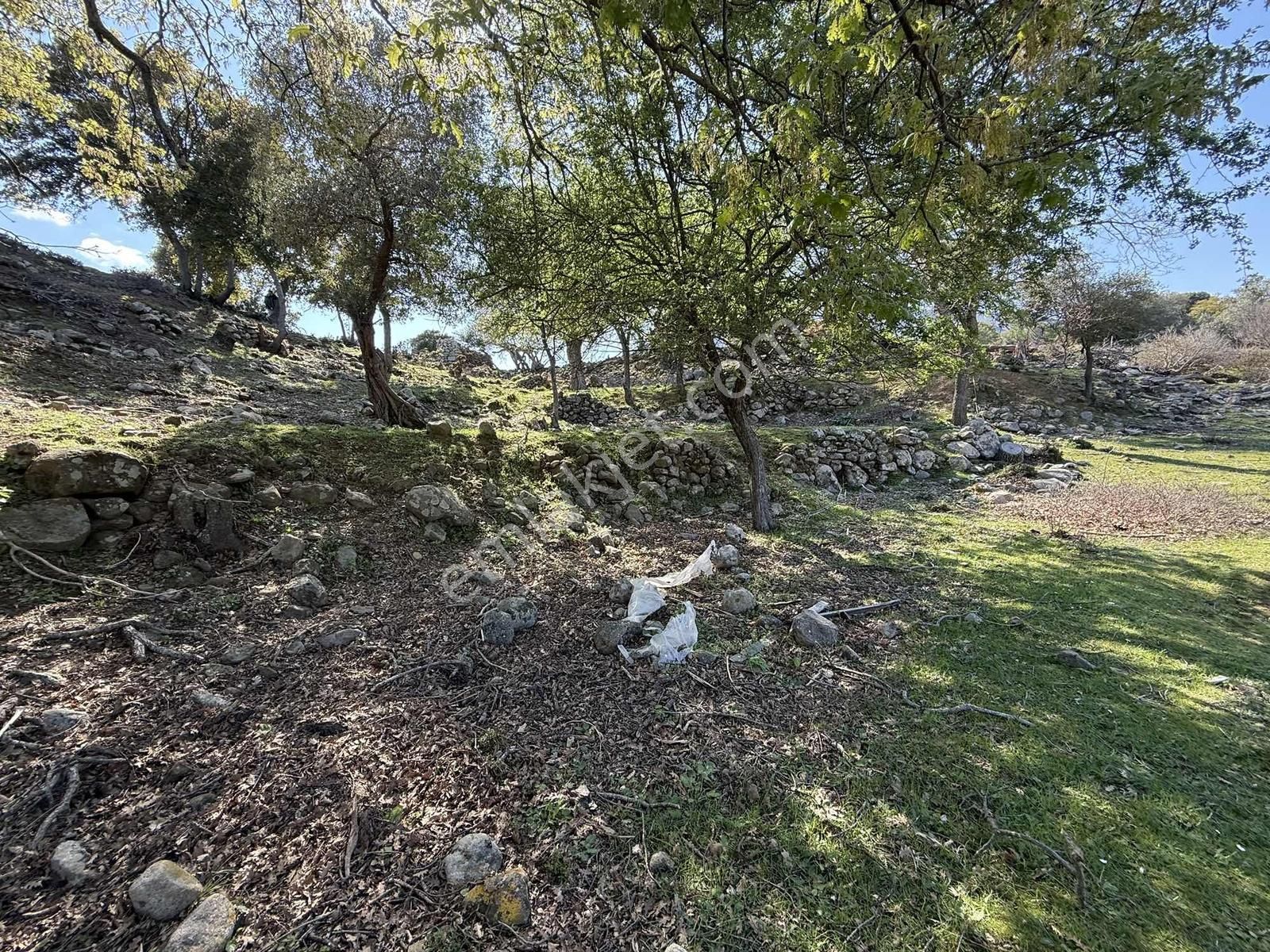 İmroz Emlak'tan Ticari İşletmeye Uygun Asfalta Sıfır - Görsel 16