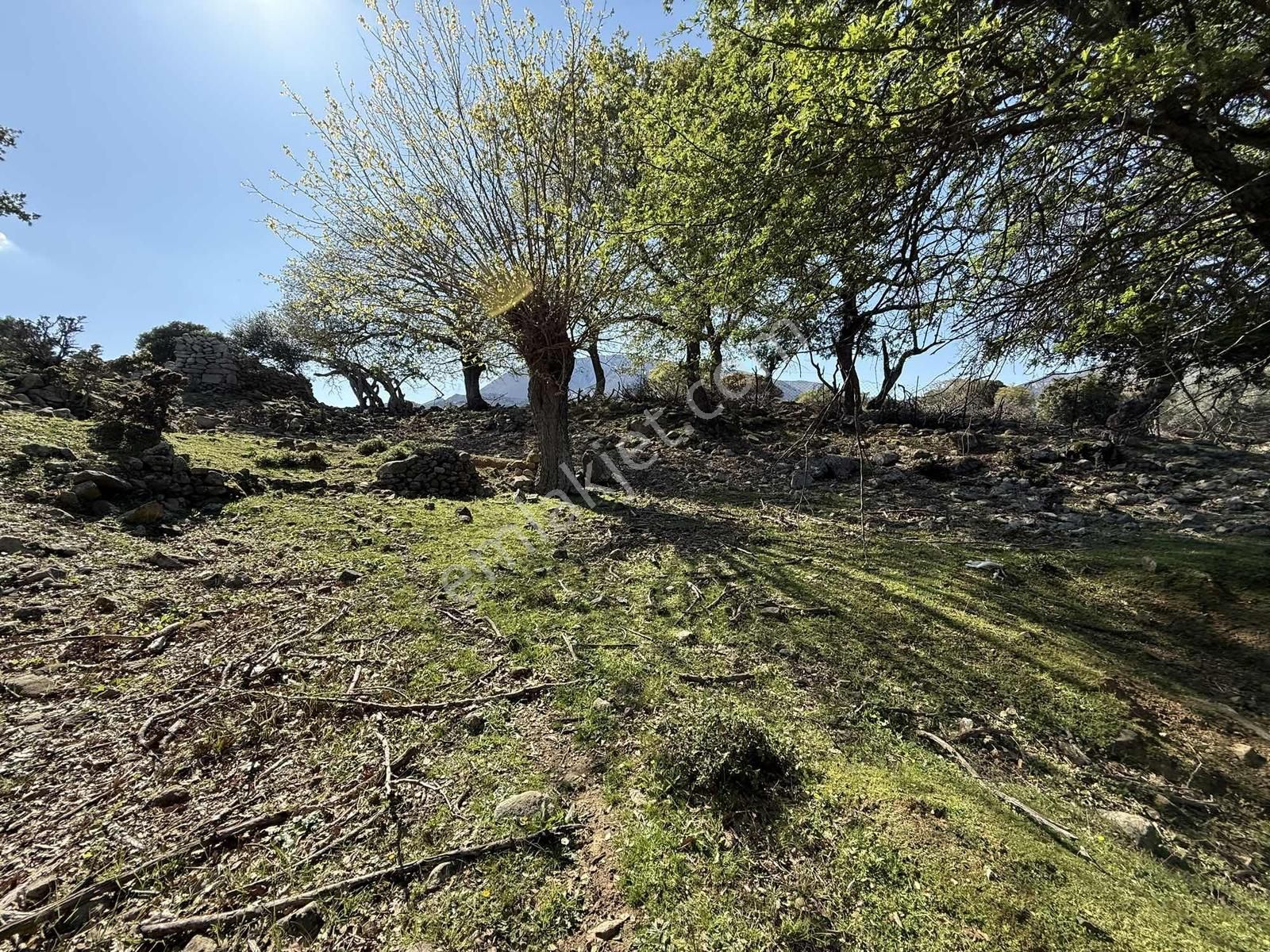 İmroz Emlak'tan Ticari İşletmeye Uygun Asfalta Sıfır - Görsel 26