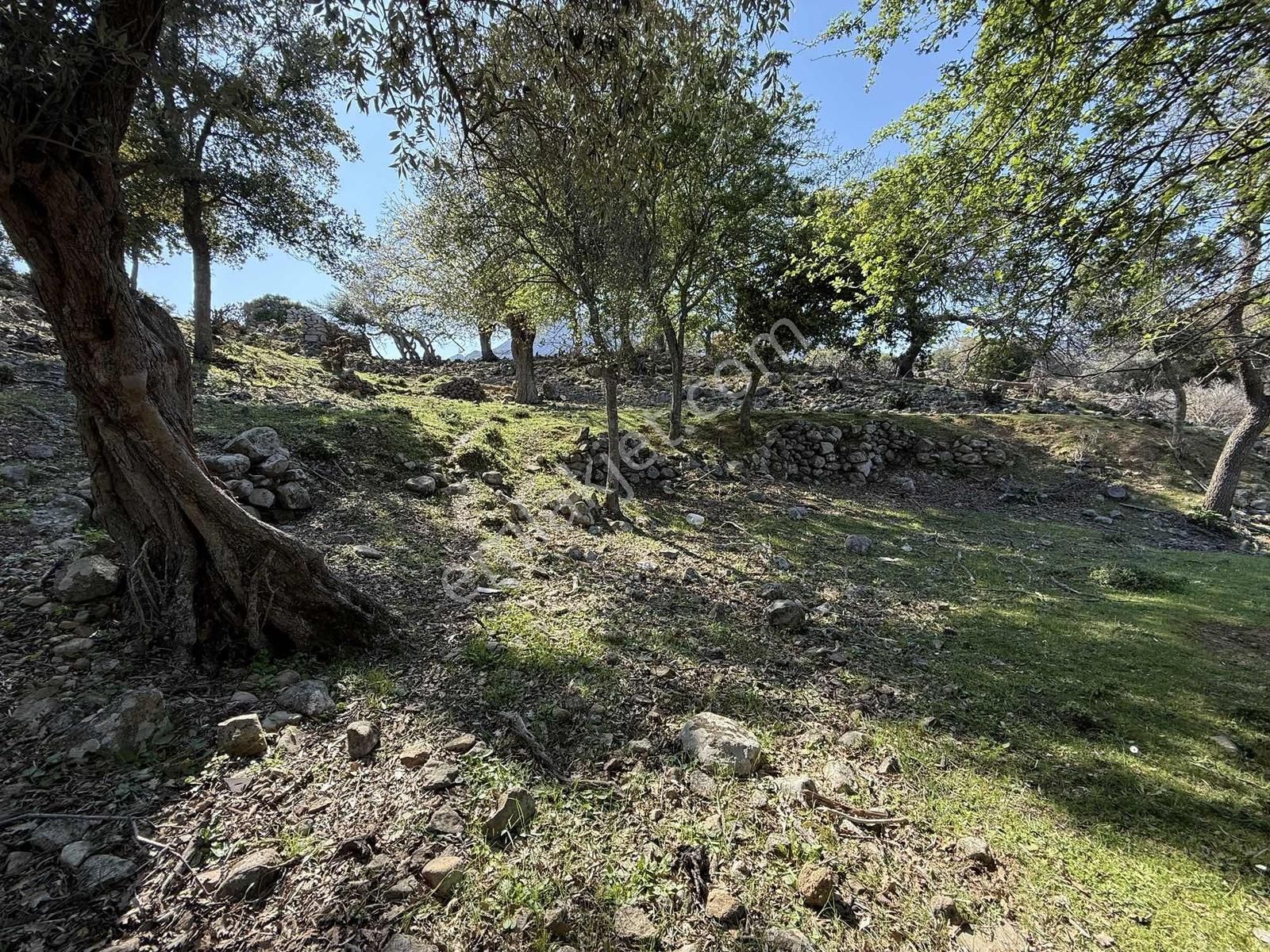 İmroz Emlak'tan Ticari İşletmeye Uygun Asfalta Sıfır - Görsel 10