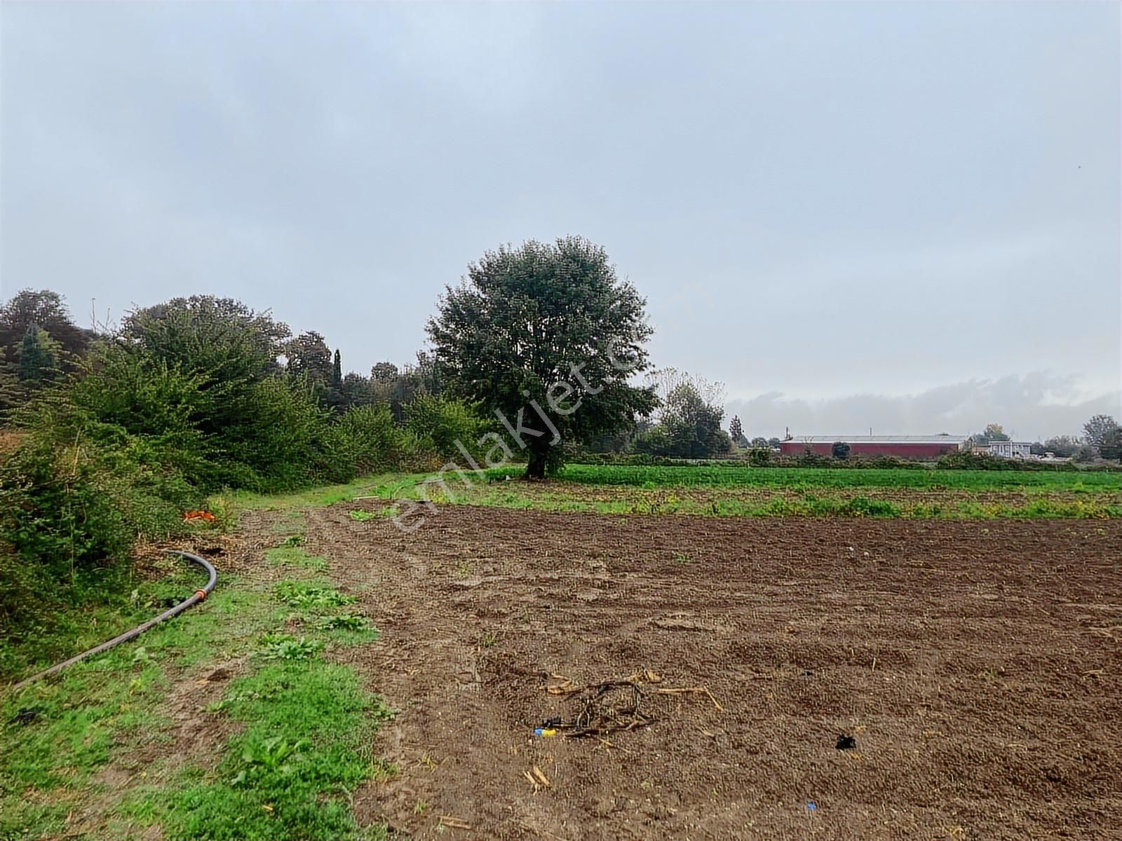 Erenler Büyükesence'de 1860m2 Satılık Tarla - Görsel 5