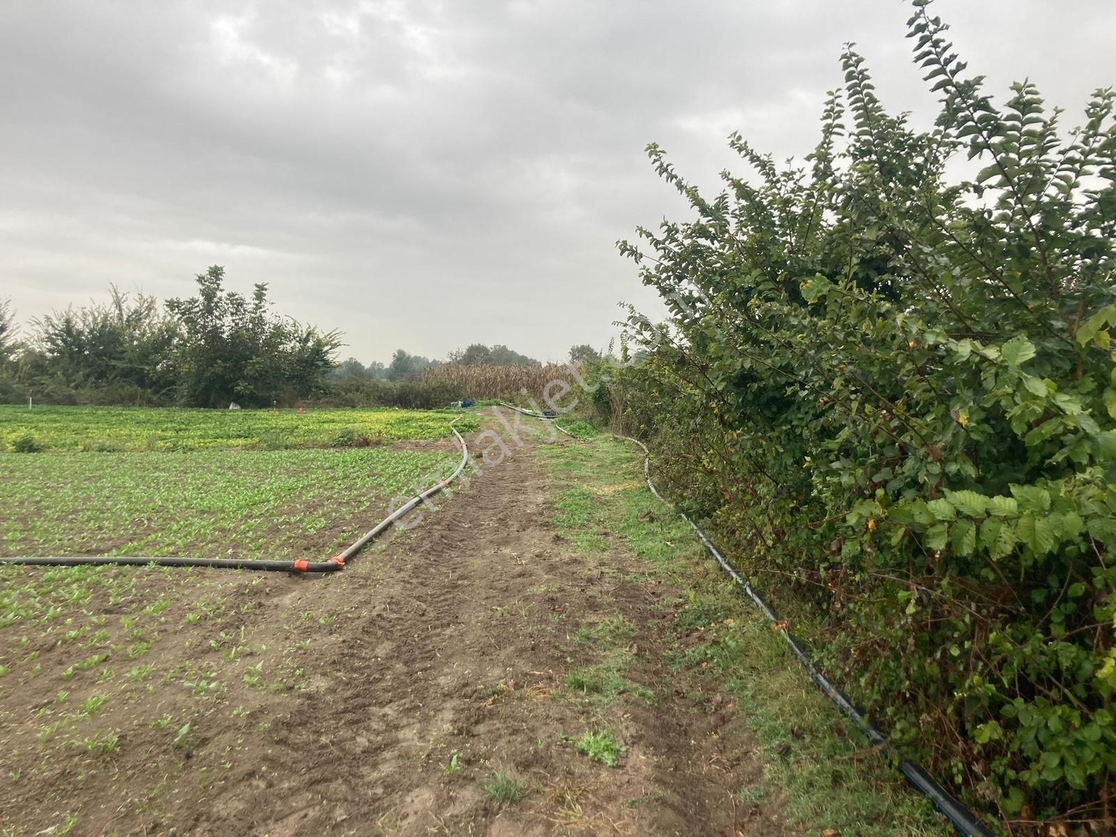 Erenler Büyükesence'de 1860m2 Satılık Tarla - Görsel 15