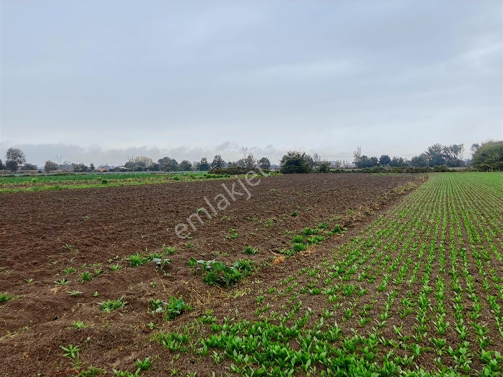 Erenler Büyükesence'de 1860m2 Satılık Tarla - Görsel 4