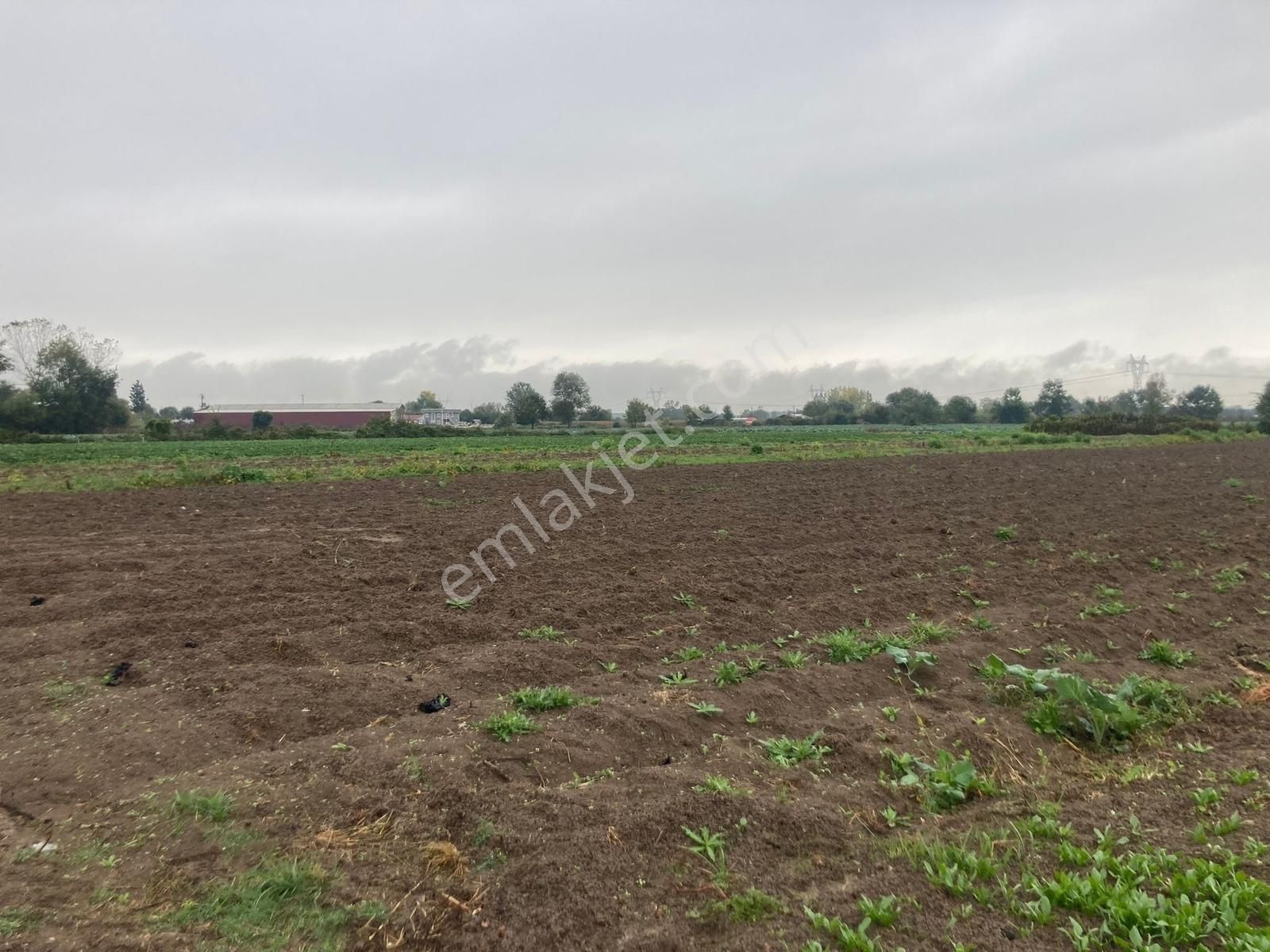 Erenler Büyükesence'de 1860m2 Satılık Tarla - Görsel 7