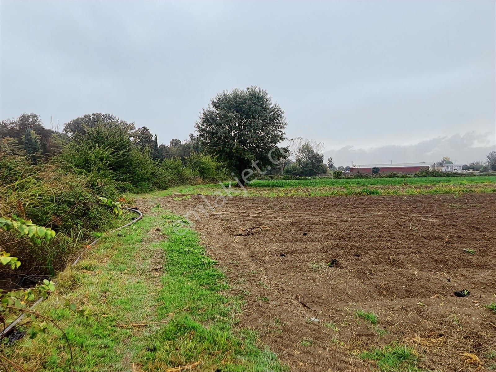 Erenler Büyükesence'de 1860m2 Satılık Tarla - Görsel 2