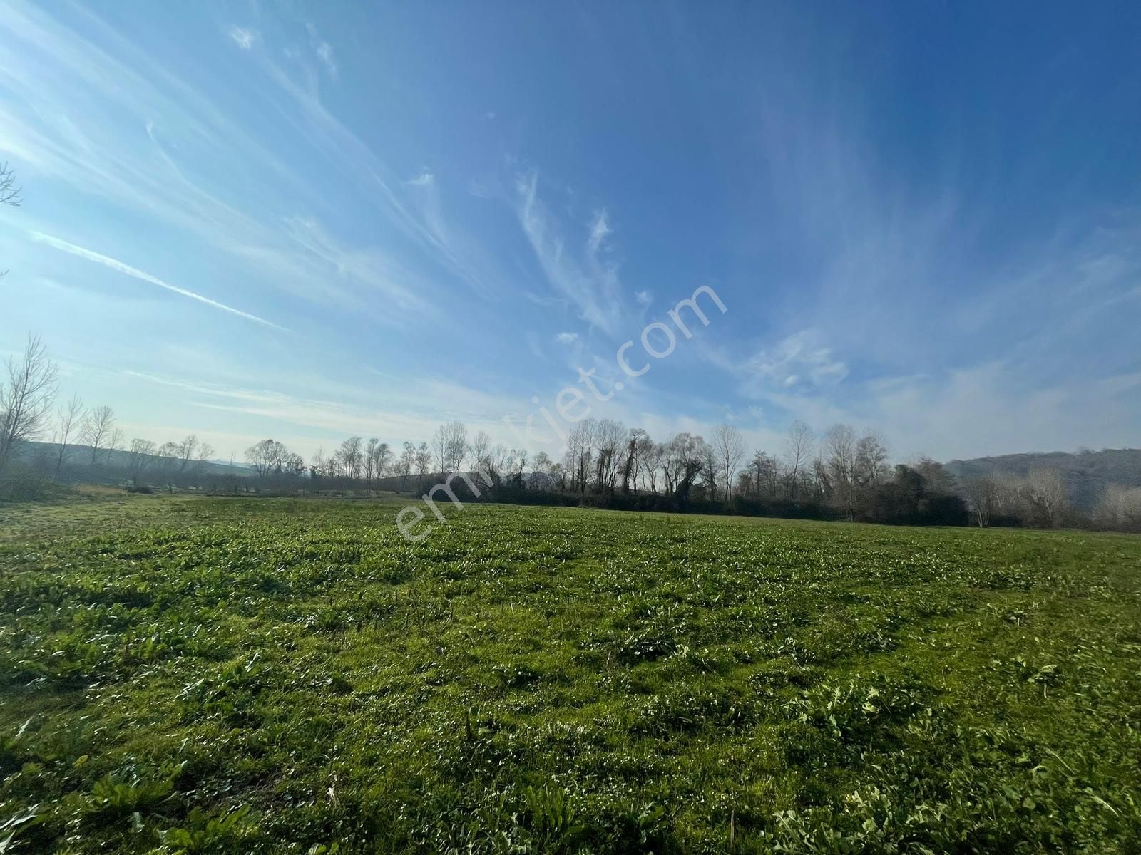 Karasu Darıçayırın'da 9.350m2 Satılık Tarla - Görsel 14