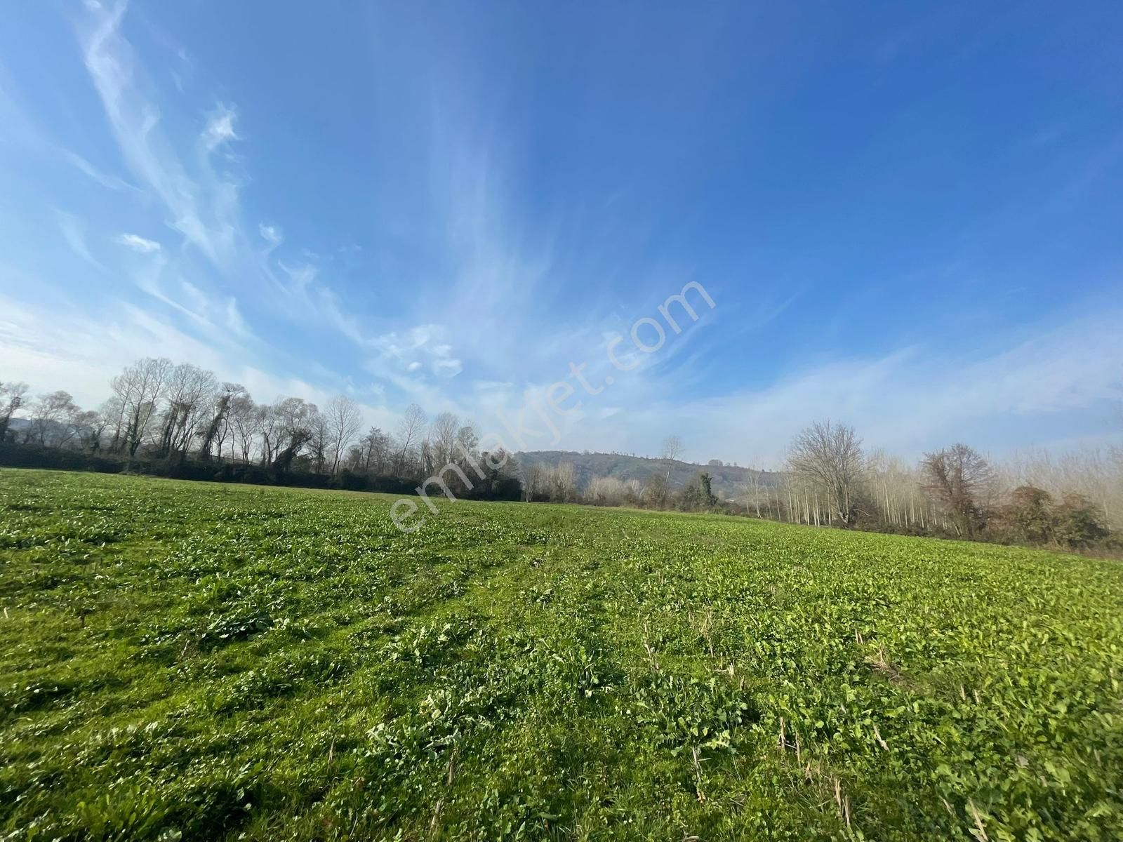 Karasu Darıçayırın'da 9.350m2 Satılık Tarla - Görsel 4