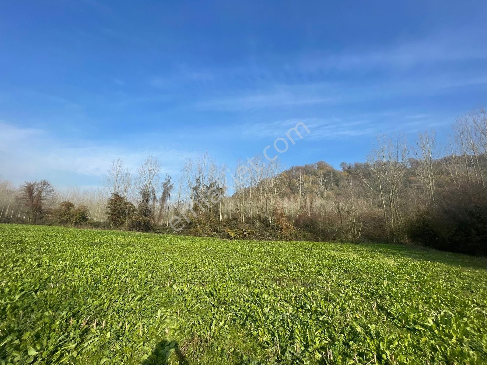 Karasu Darıçayırın'da 9.350m2 Satılık Tarla - Görsel 15