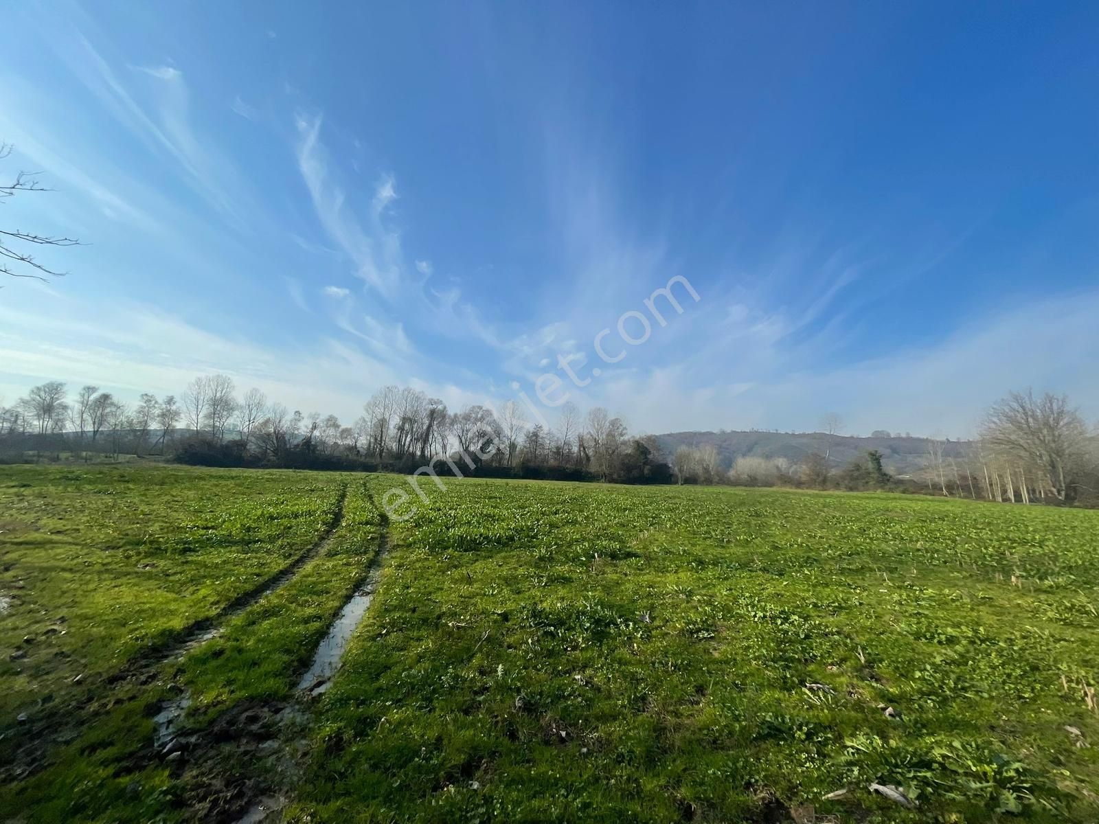 Karasu Darıçayırın'da 9.350m2 Satılık Tarla - Görsel 11