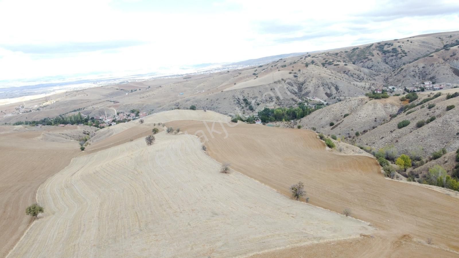 Çınar Da Köy Merkezine Yakın Yol Kenarı Manzaralı 26.000 Metre - Görsel 32