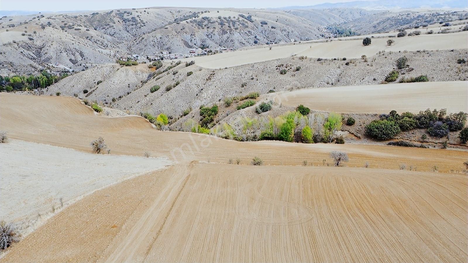 Çınar Da Köy Merkezine Yakın Yol Kenarı Manzaralı 26.000 Metre - Görsel 2