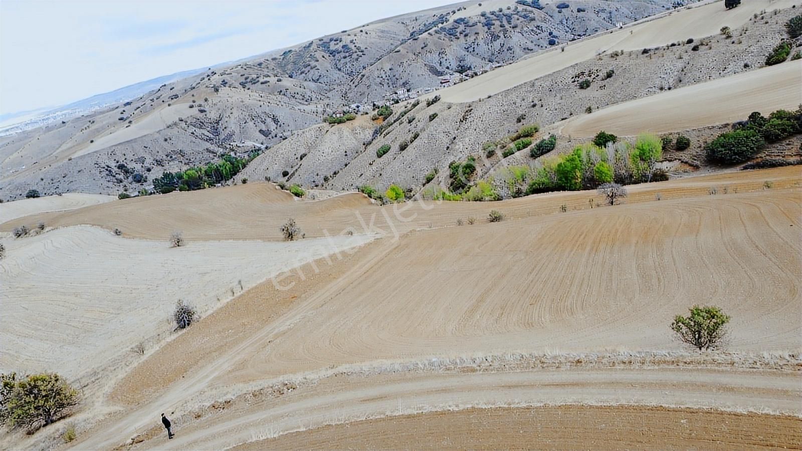 Çınar Da Köy Merkezine Yakın Yol Kenarı Manzaralı 26.000 Metre - Görsel 13