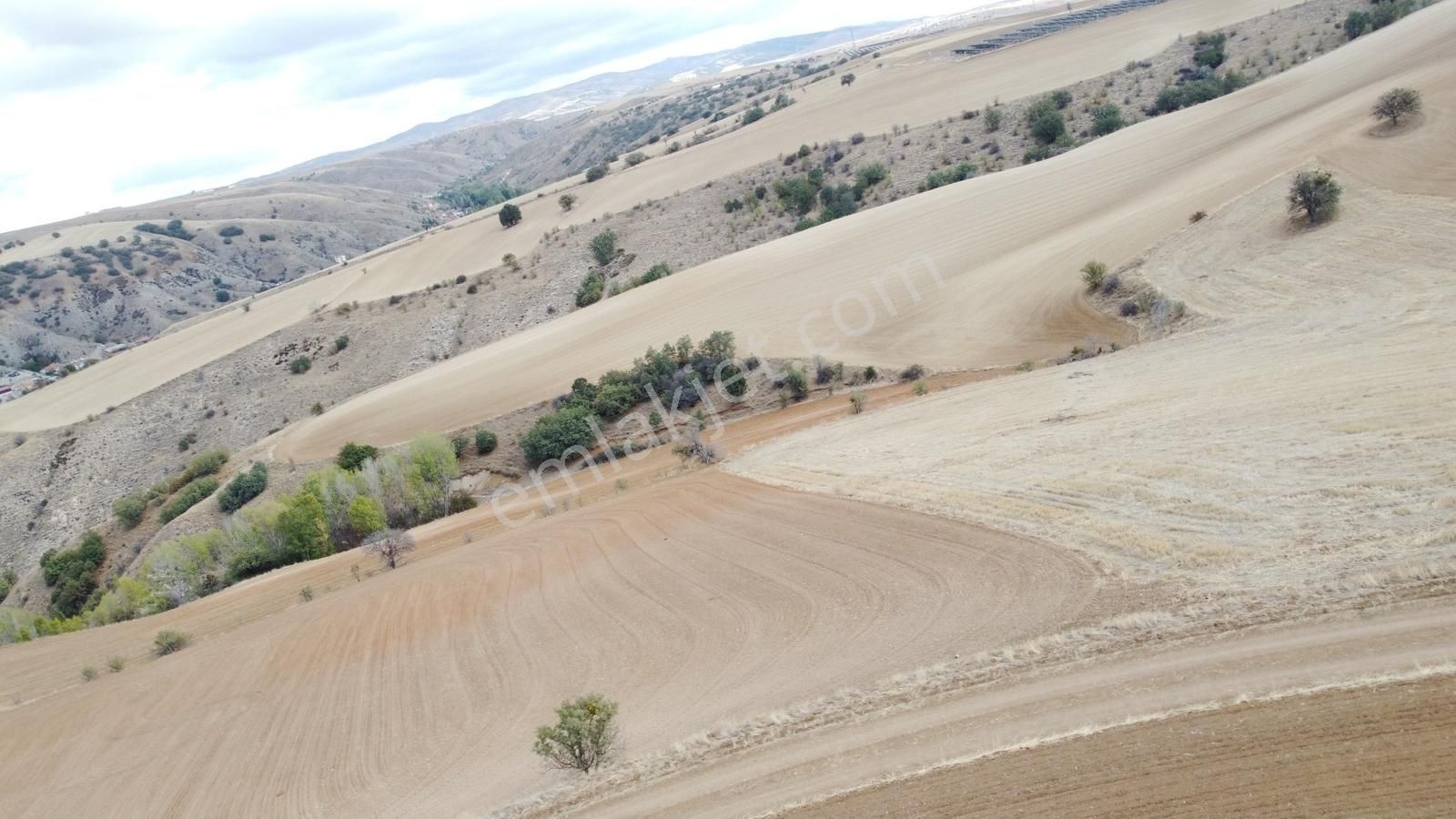 Çınar Da Köy Merkezine Yakın Yol Kenarı Manzaralı 26.000 Metre - Görsel 14