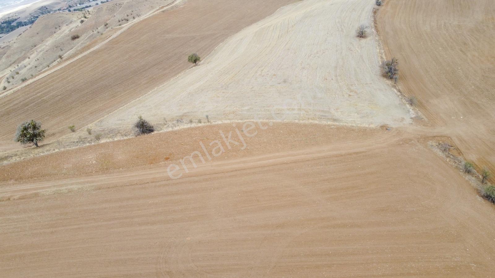 Çınar Da Köy Merkezine Yakın Yol Kenarı Manzaralı 26.000 Metre - Görsel 29