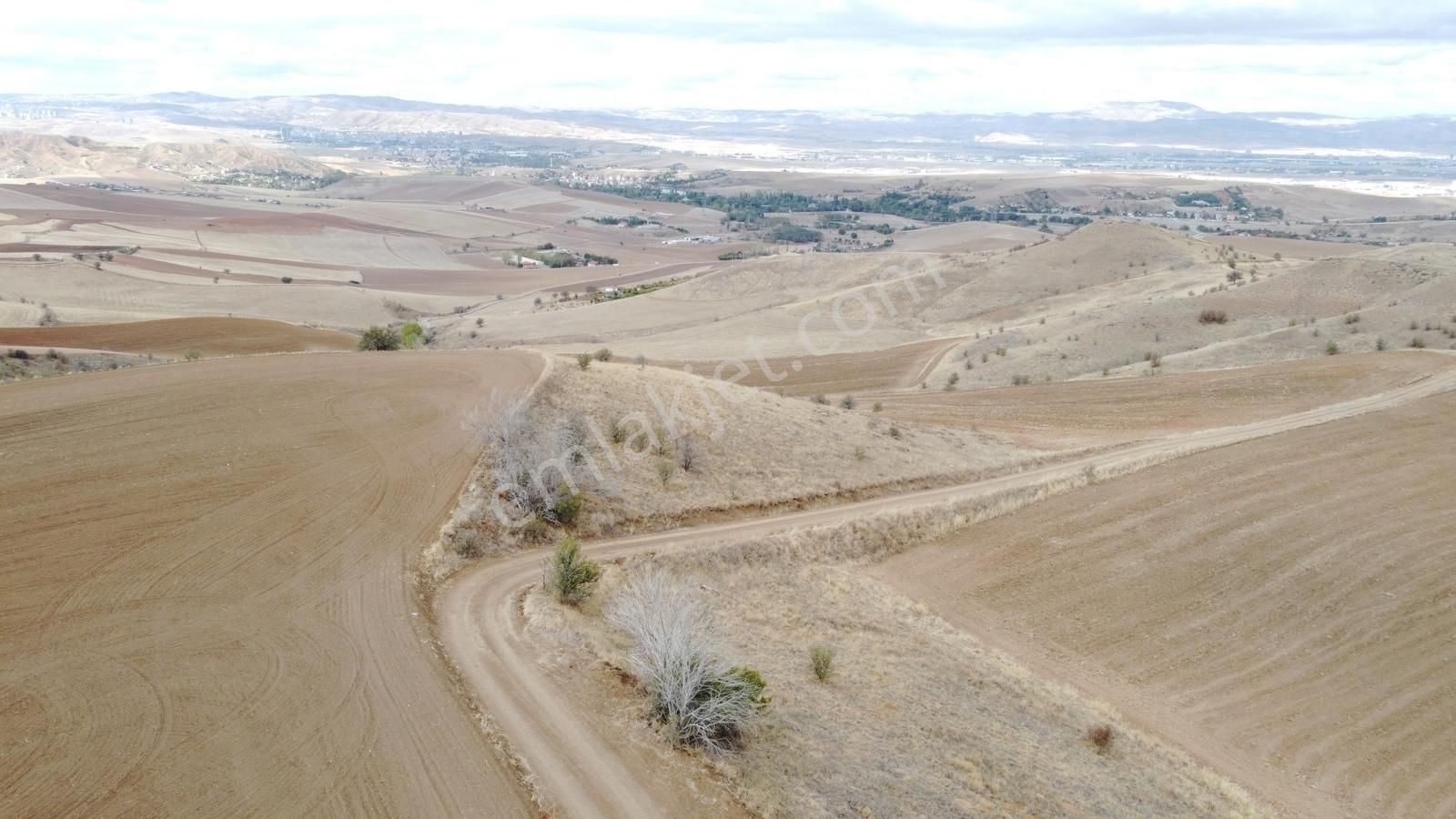 Çınar Da Köy Merkezine Yakın Yol Kenarı Manzaralı 26.000 Metre - Görsel 22