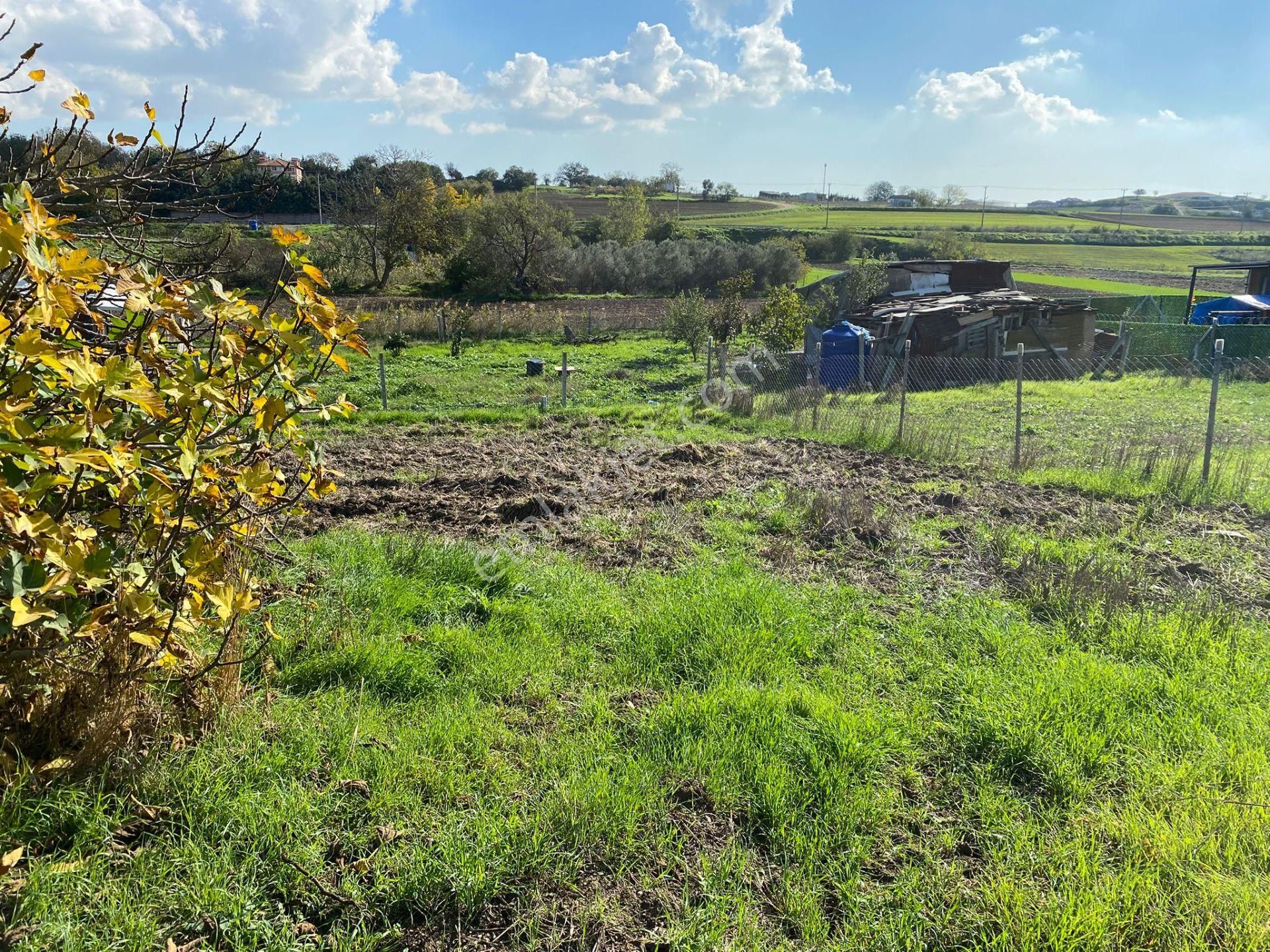 İstanbul Silivri Değirmenköy Çaplı Mukavvetnameli Konteynır Koyulur Hobi Bahçesi Çitle Çevrilir